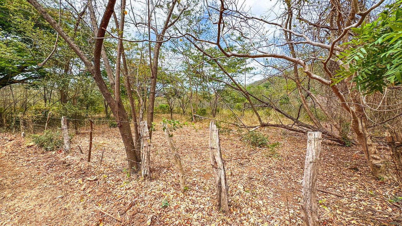 Off-Grid 4.25 Acres in Fincas de Escamequita - Image 5