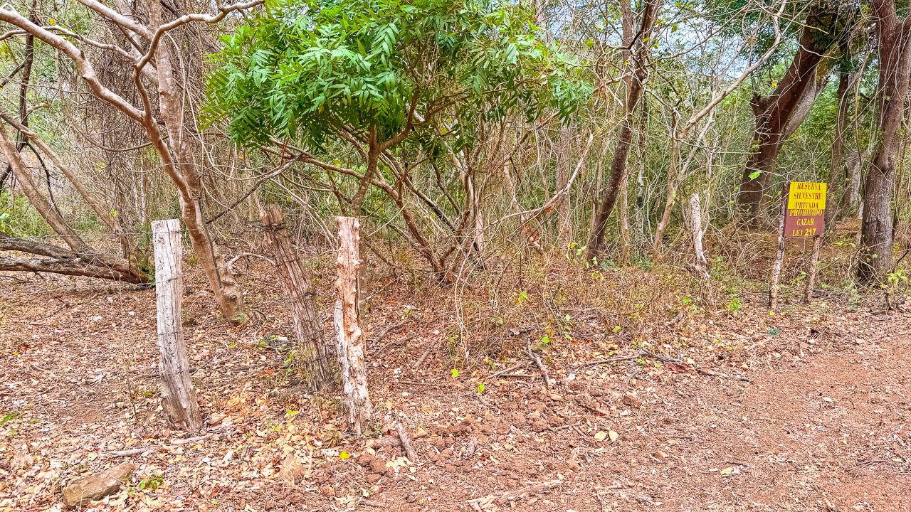 Off-Grid 4.25 Acres in Fincas de Escamequita - Image 4
