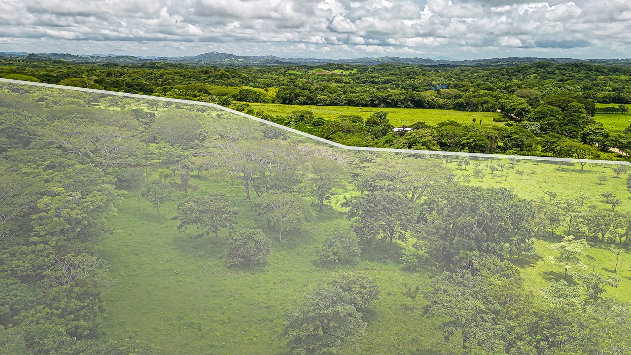 Lakeview Farm Near the Beaches - Image 6