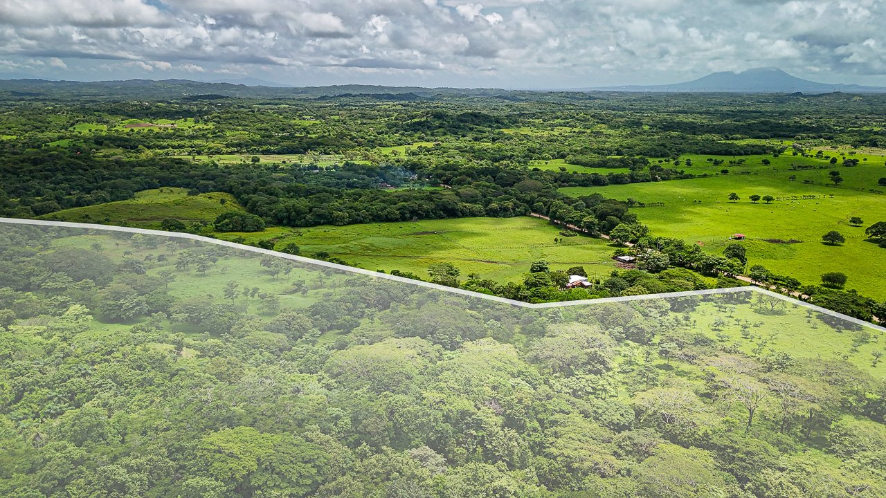 Lakeview Farm Near the Beaches - Image 9
