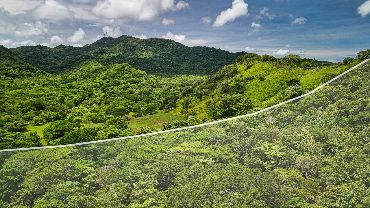 Lakeview Farm Near the Beaches - Image 11
