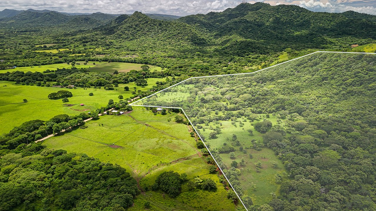Lakeview Farm Near the Beaches - Image 15