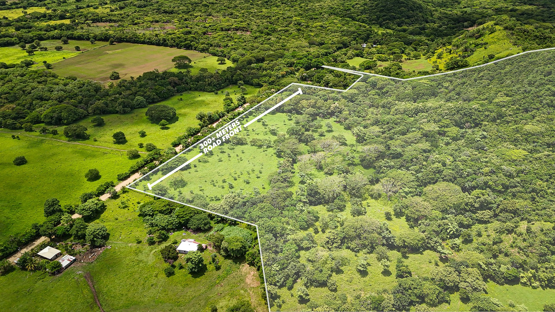 Lakeview Farm Near the Beaches - Image 5