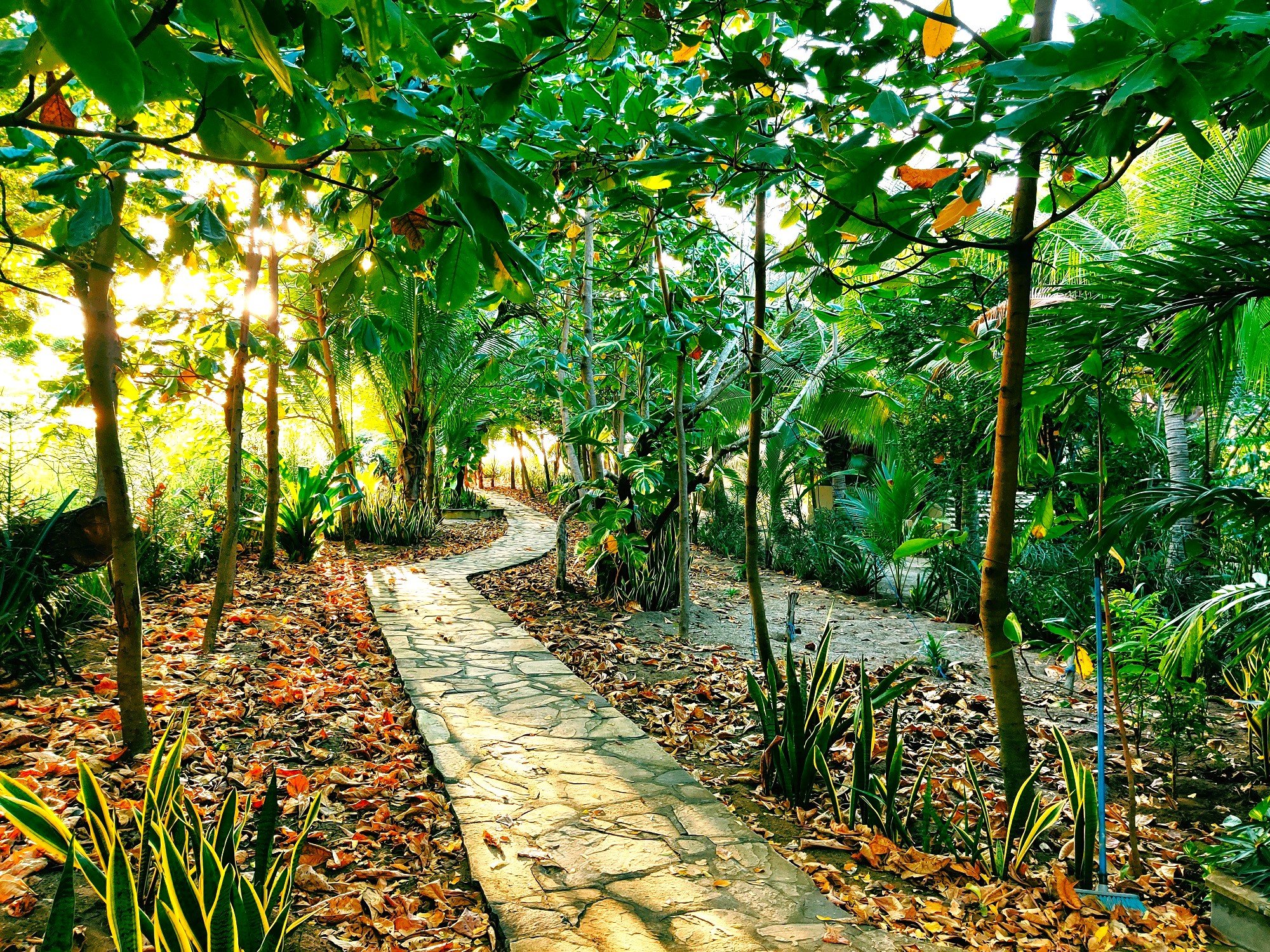 Finca del Mar Lot R 14 - Image 13