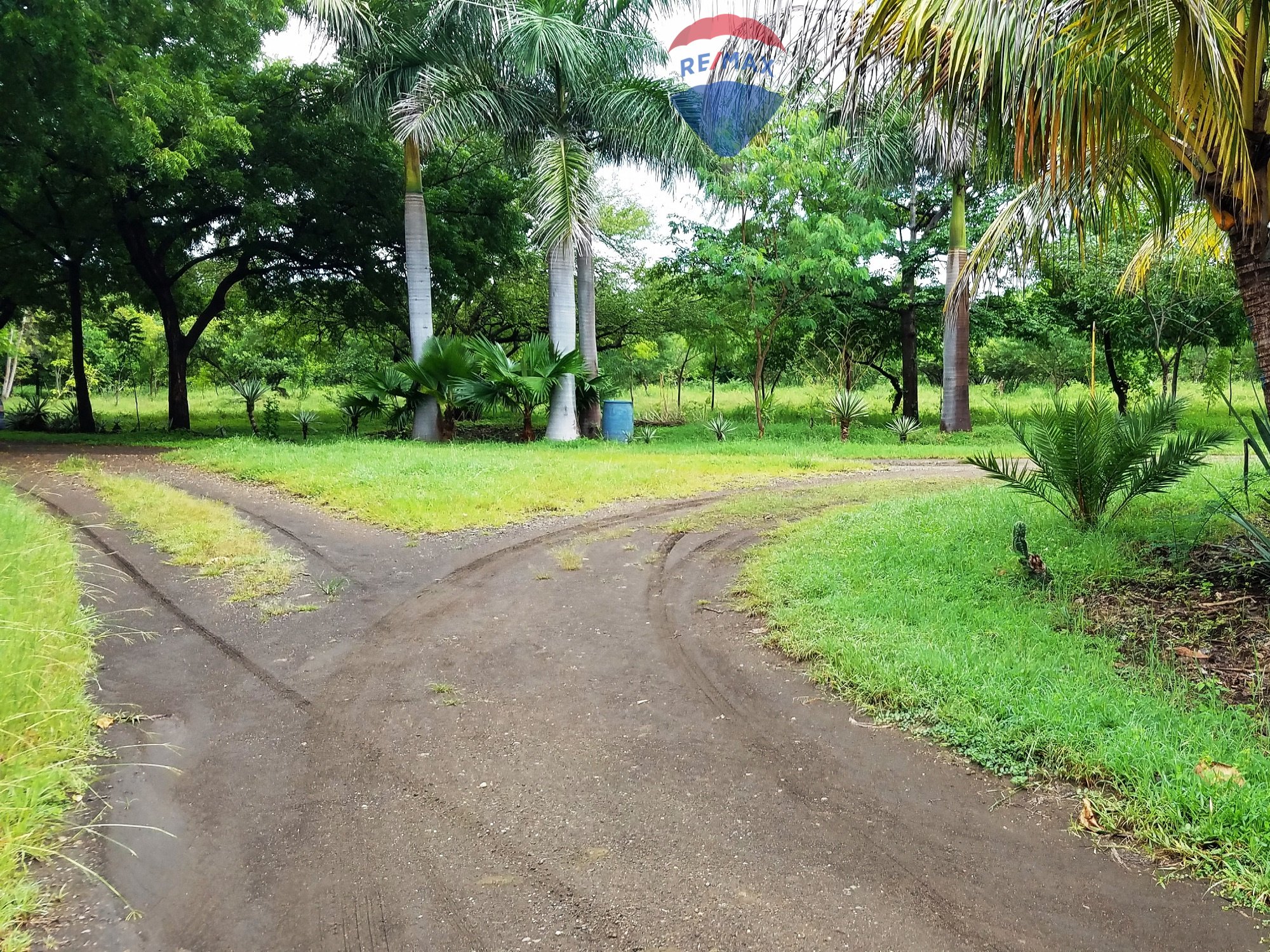 Finca del Mar Lot R 14 - Image 3