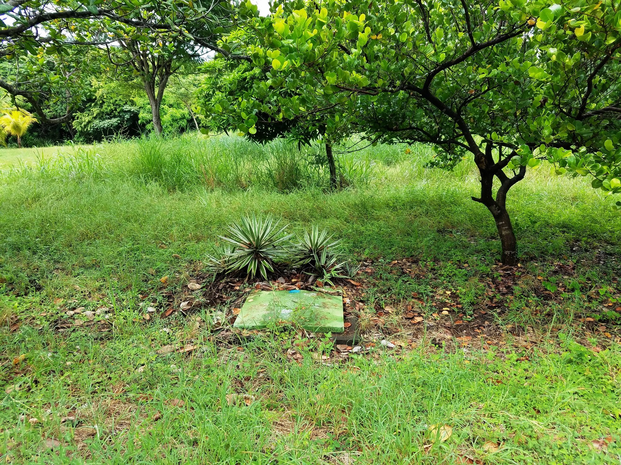 Finca del Mar Lot R 14 - Image 5