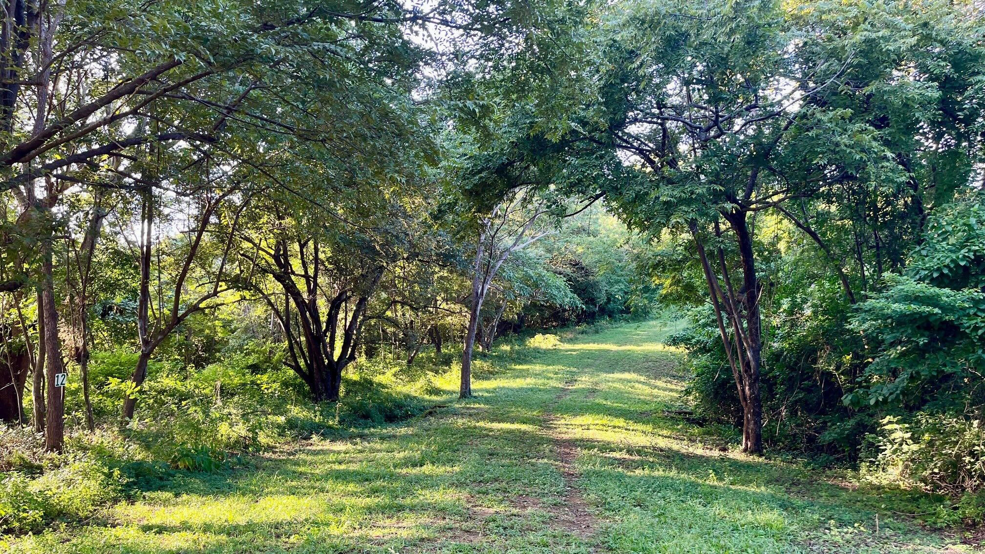 Ocean View Lot Surrounded by Nature in San Juan Del Sur, Nicaragua