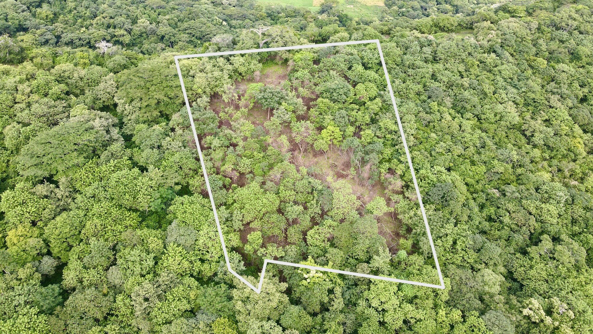 Ocean View Lot Surrounded by Nature in San Juan Del Sur, Nicaragua - Image 3