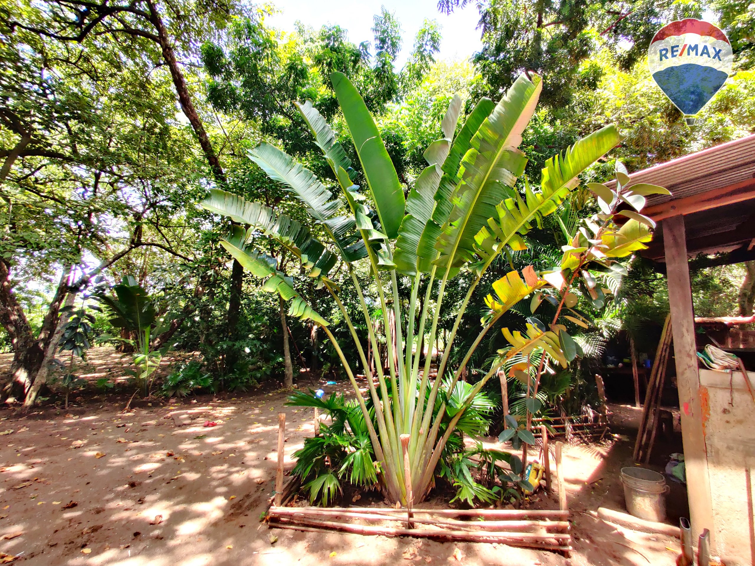 Five Beach Lots For Sale as a Single Package! - Image 24