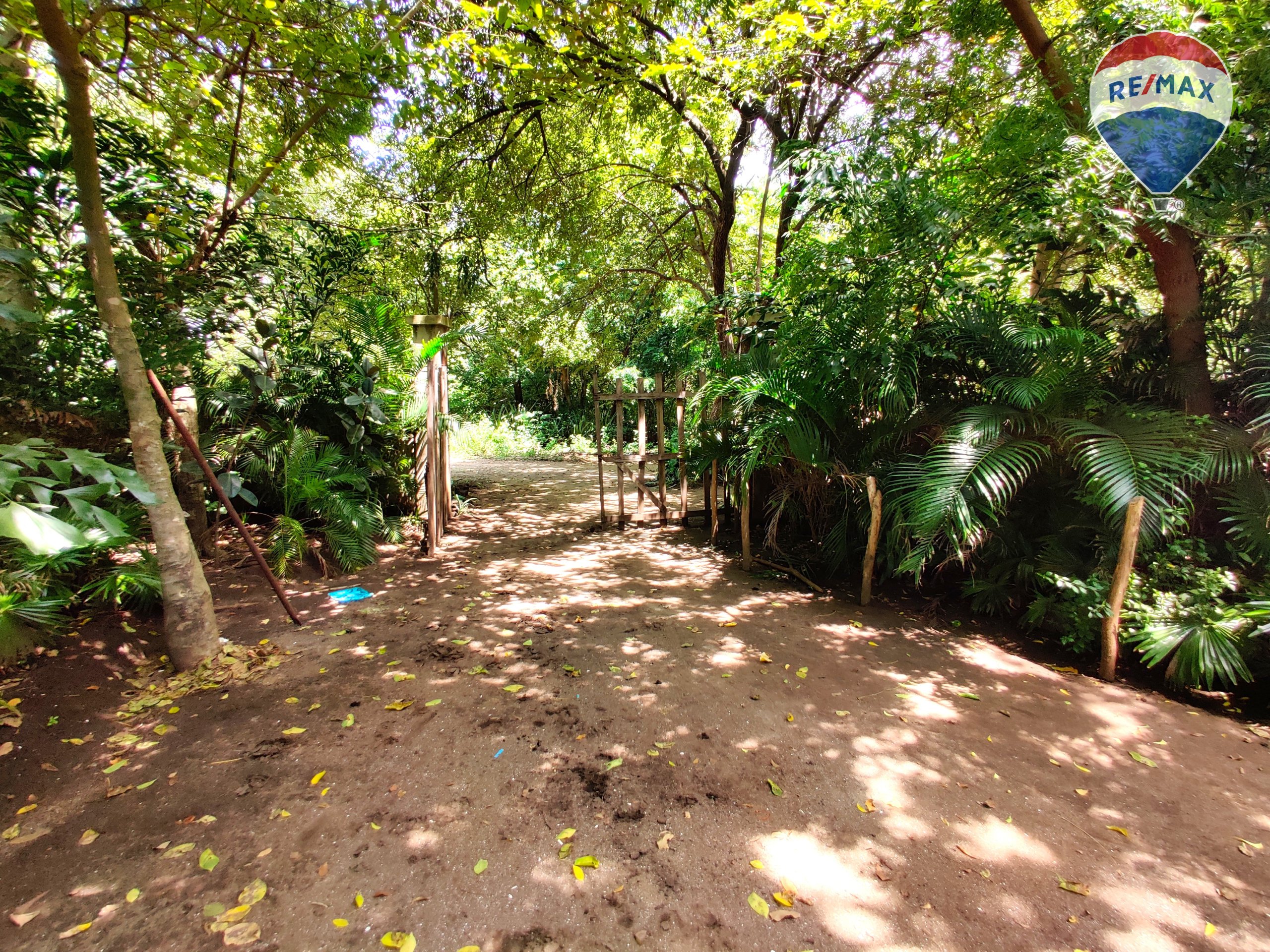 Five Beach Lots For Sale as a Single Package! - Image 22
