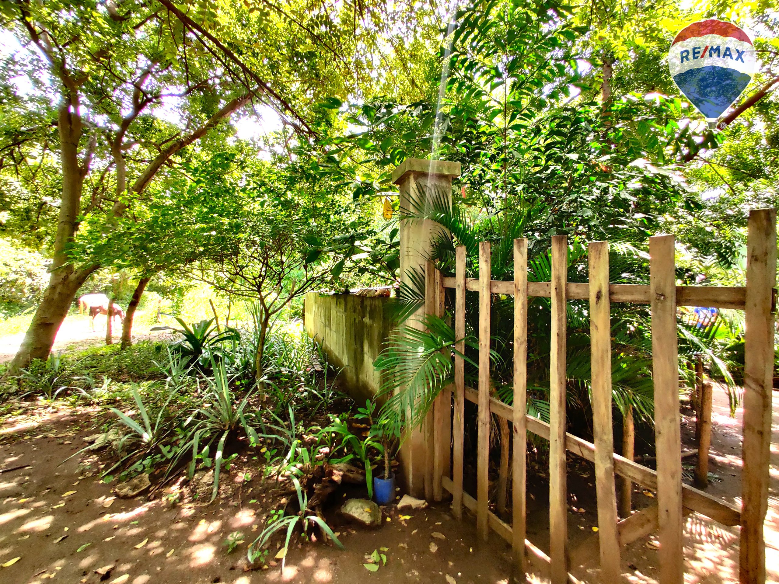 Five Beach Lots For Sale as a Single Package! - Image 18