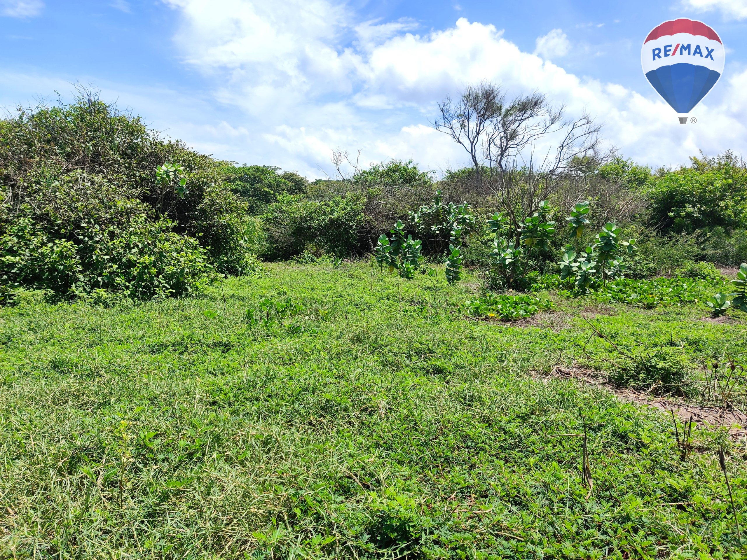 Five Beach Lots For Sale as a Single Package! - Image 14