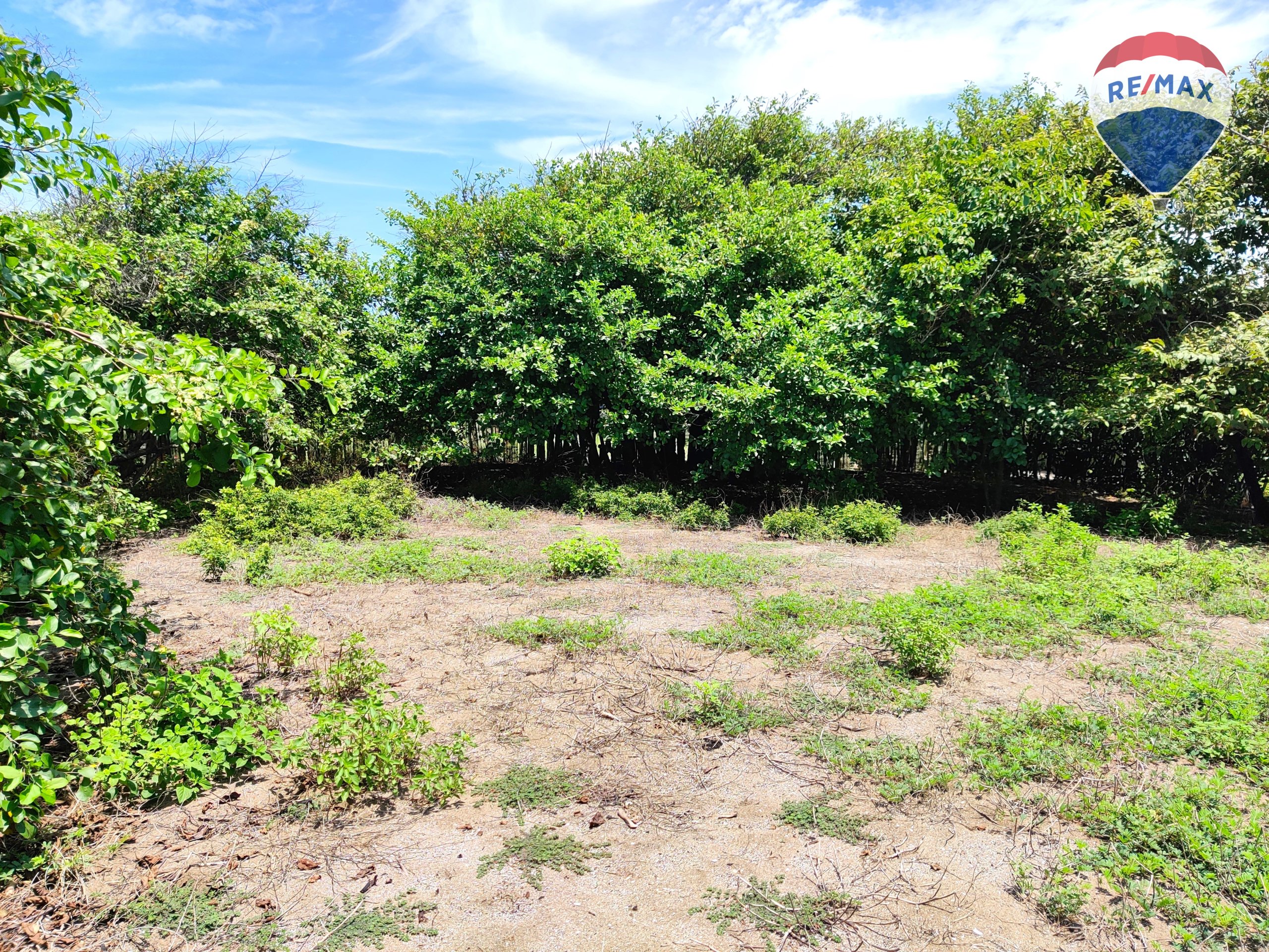 Five Beach Lots For Sale as a Single Package! - Image 10