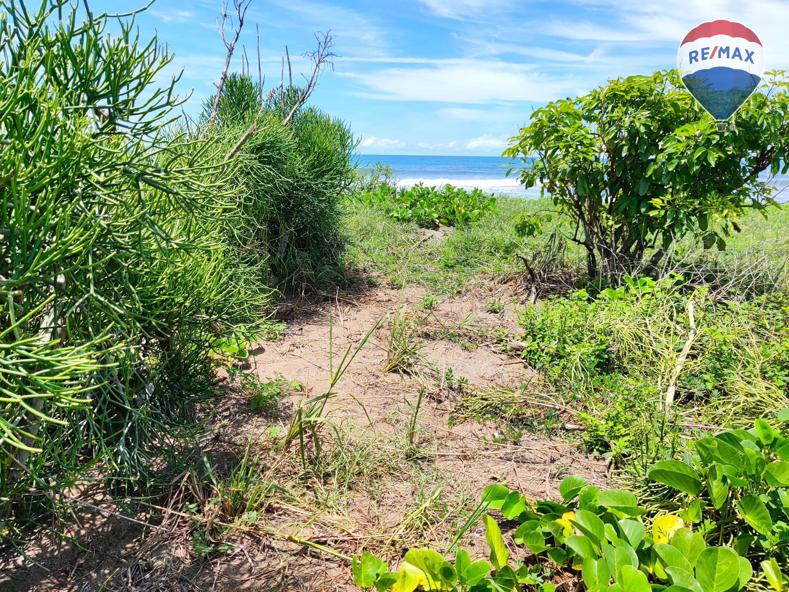 Five Beach Lots For Sale as a Single Package! - Image 6
