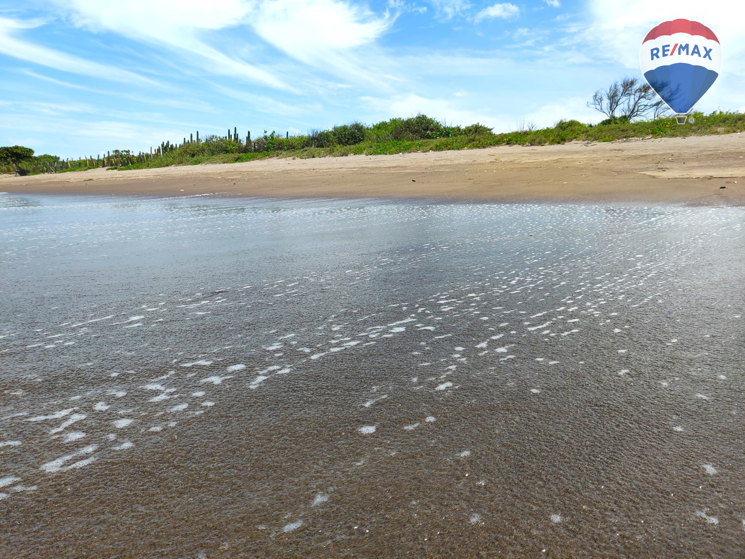 Five Beach Lots For Sale as a Single Package! - Image 3