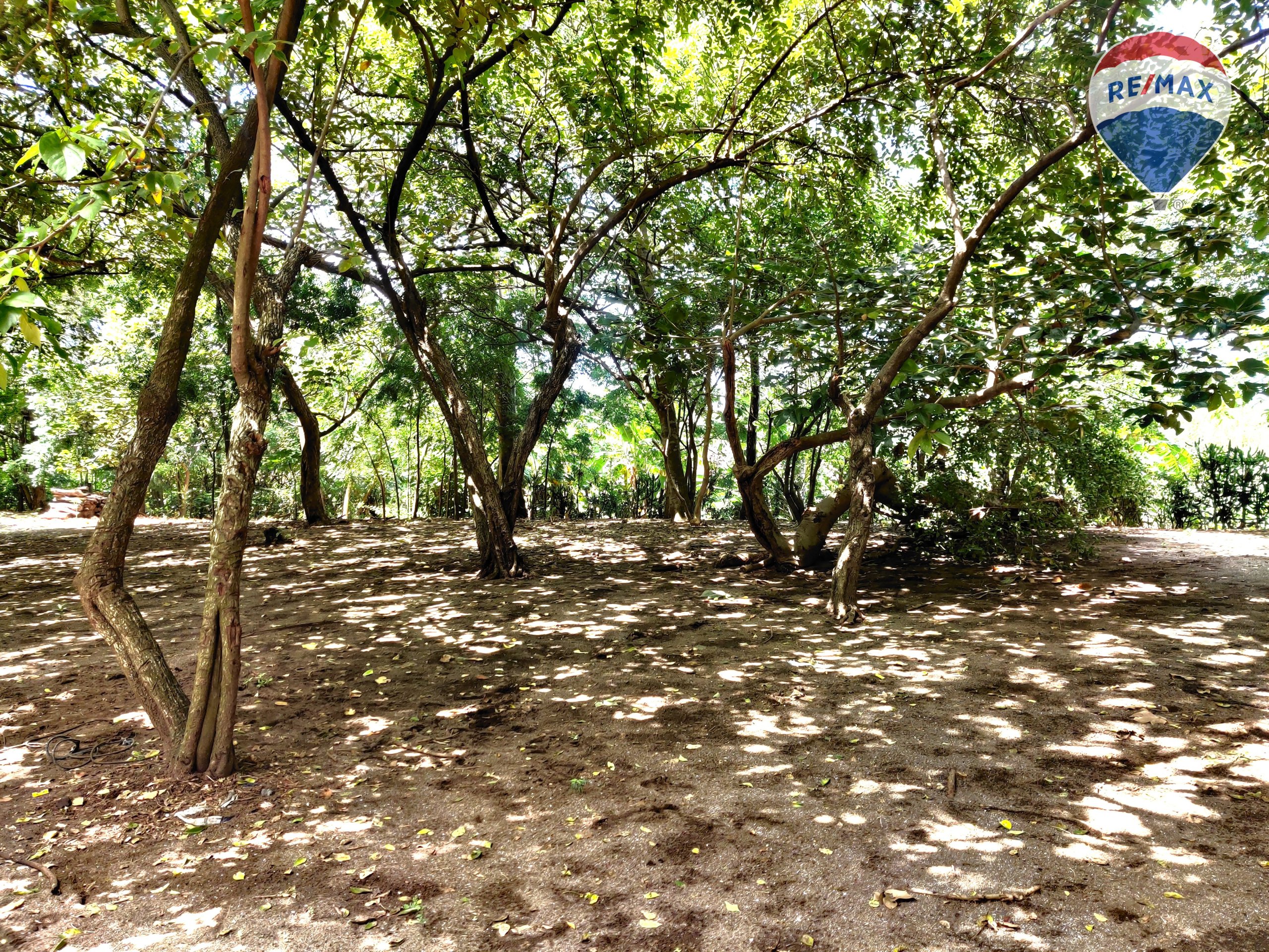 Five Beach Lots For Sale as a Single Package! - Image 34