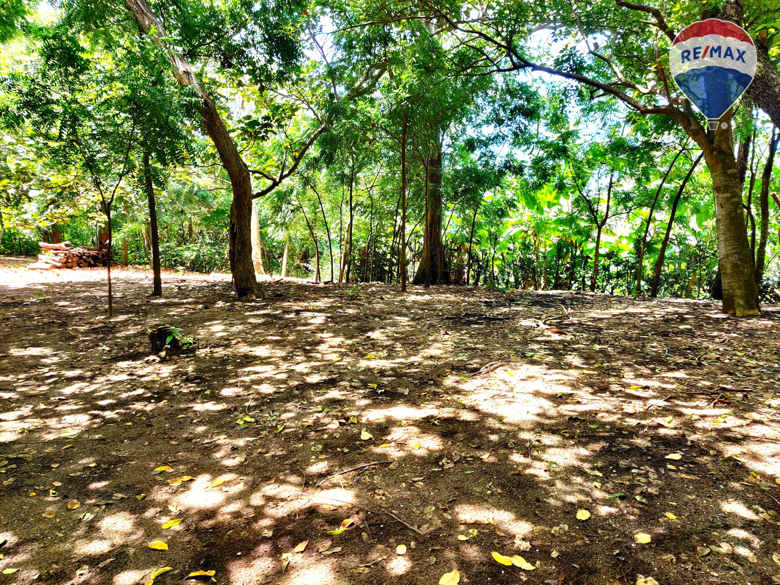 Five Beach Lots For Sale as a Single Package! - Image 33