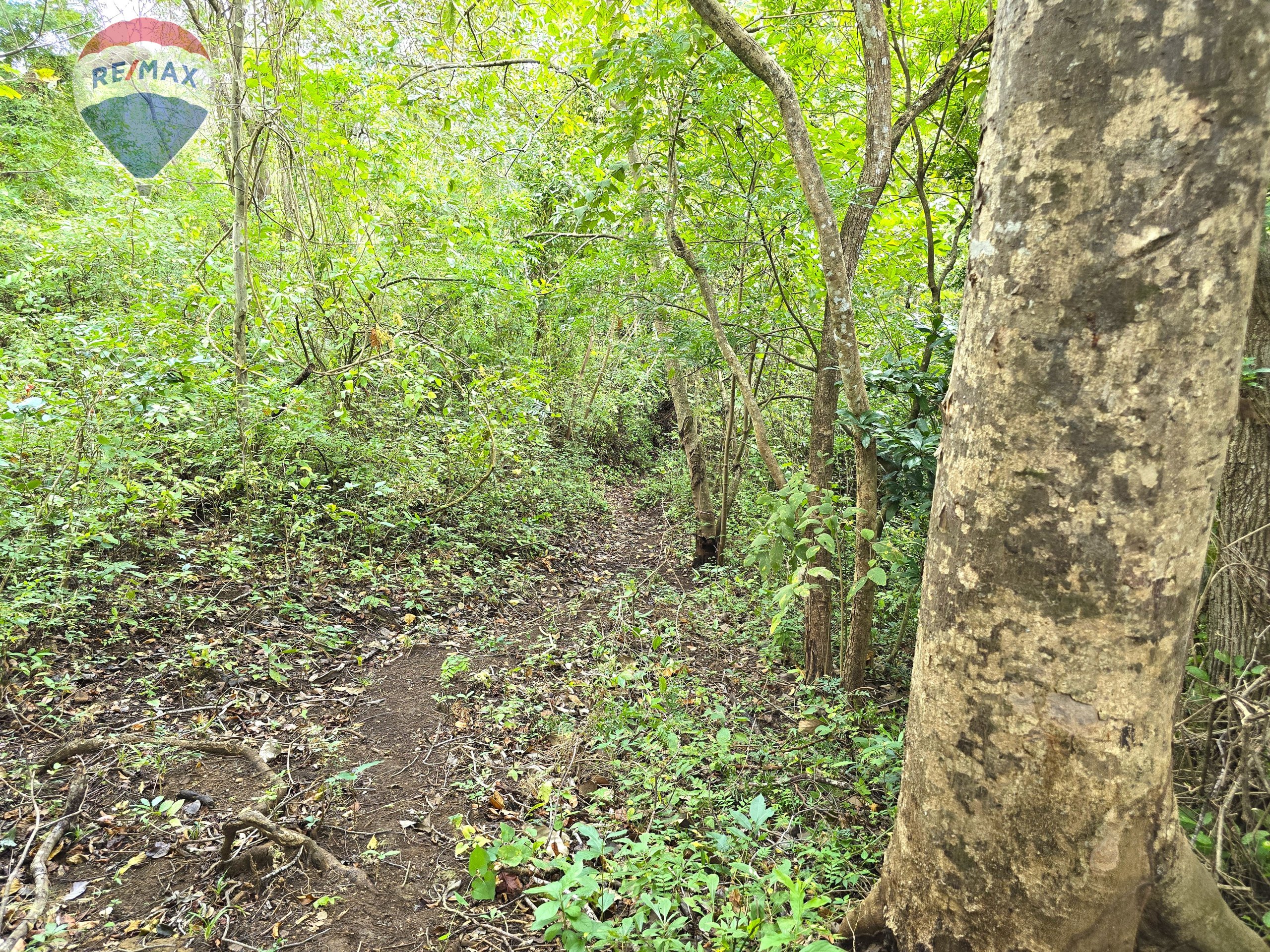 Hermosa Finca de 8 Manzanas cerca del Volcán Mombacho - Image 10