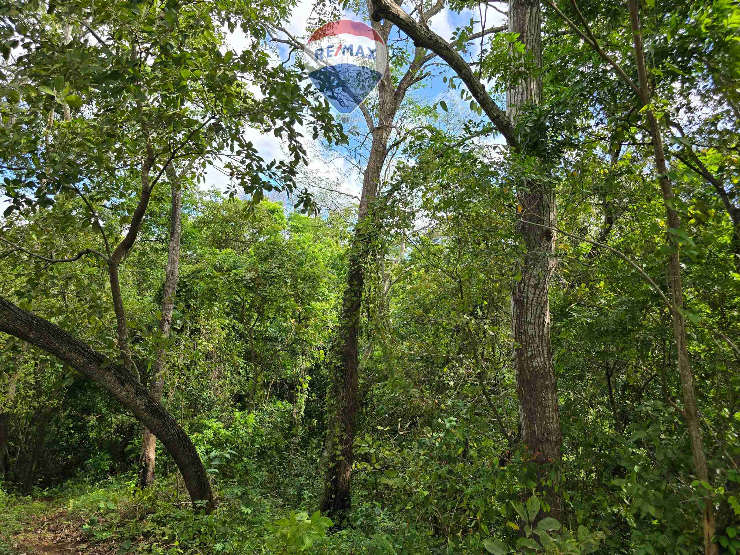 Hermosa Finca de 8 Manzanas cerca del Volcán Mombacho - Image 15