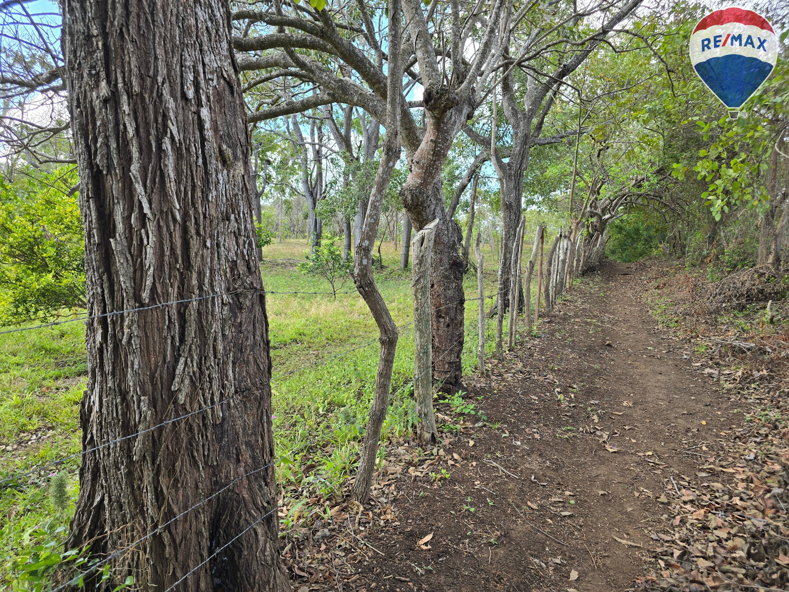 Hermosa Finca de 8 Manzanas cerca del Volcán Mombacho - Image 16