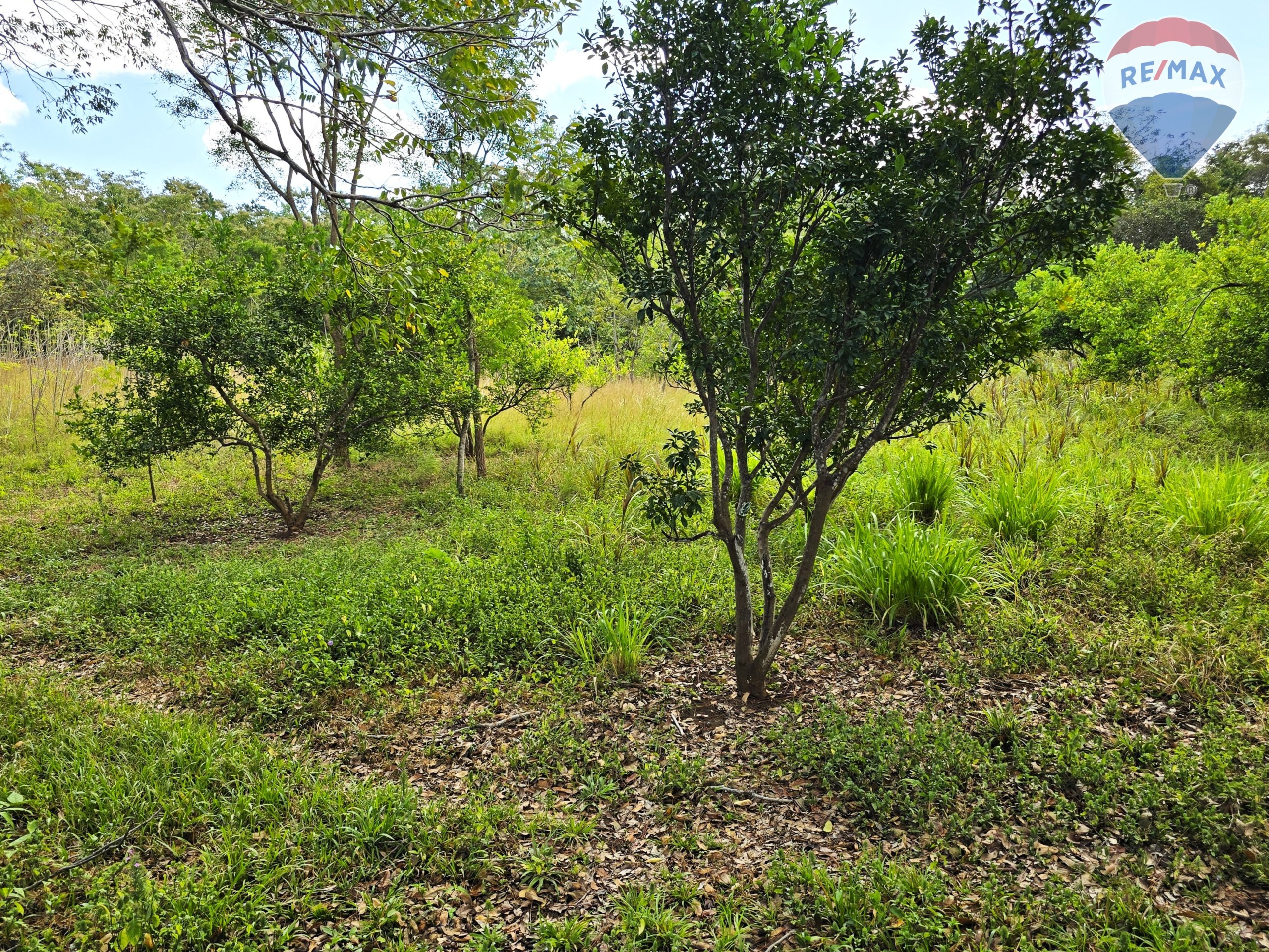 Hermosa Finca de 8 Manzanas cerca del Volcán Mombacho - Image 17