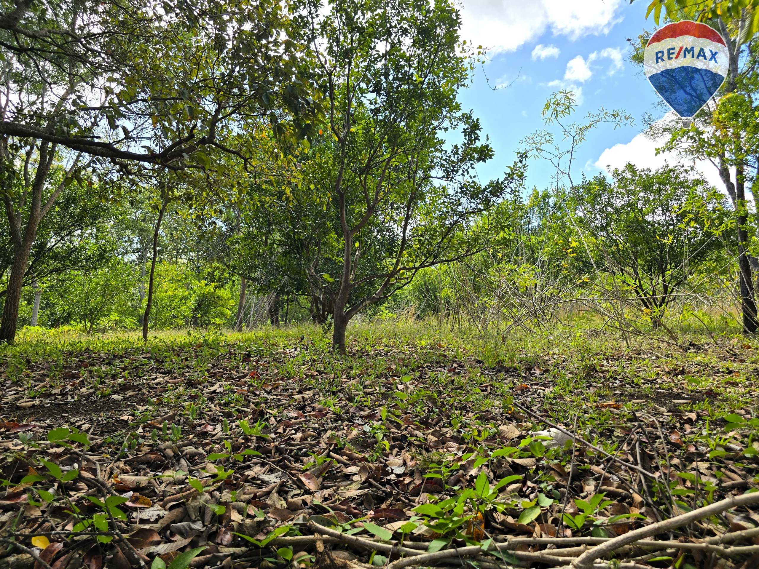 Hermosa Finca de 8 Manzanas cerca del Volcán Mombacho - Image 20