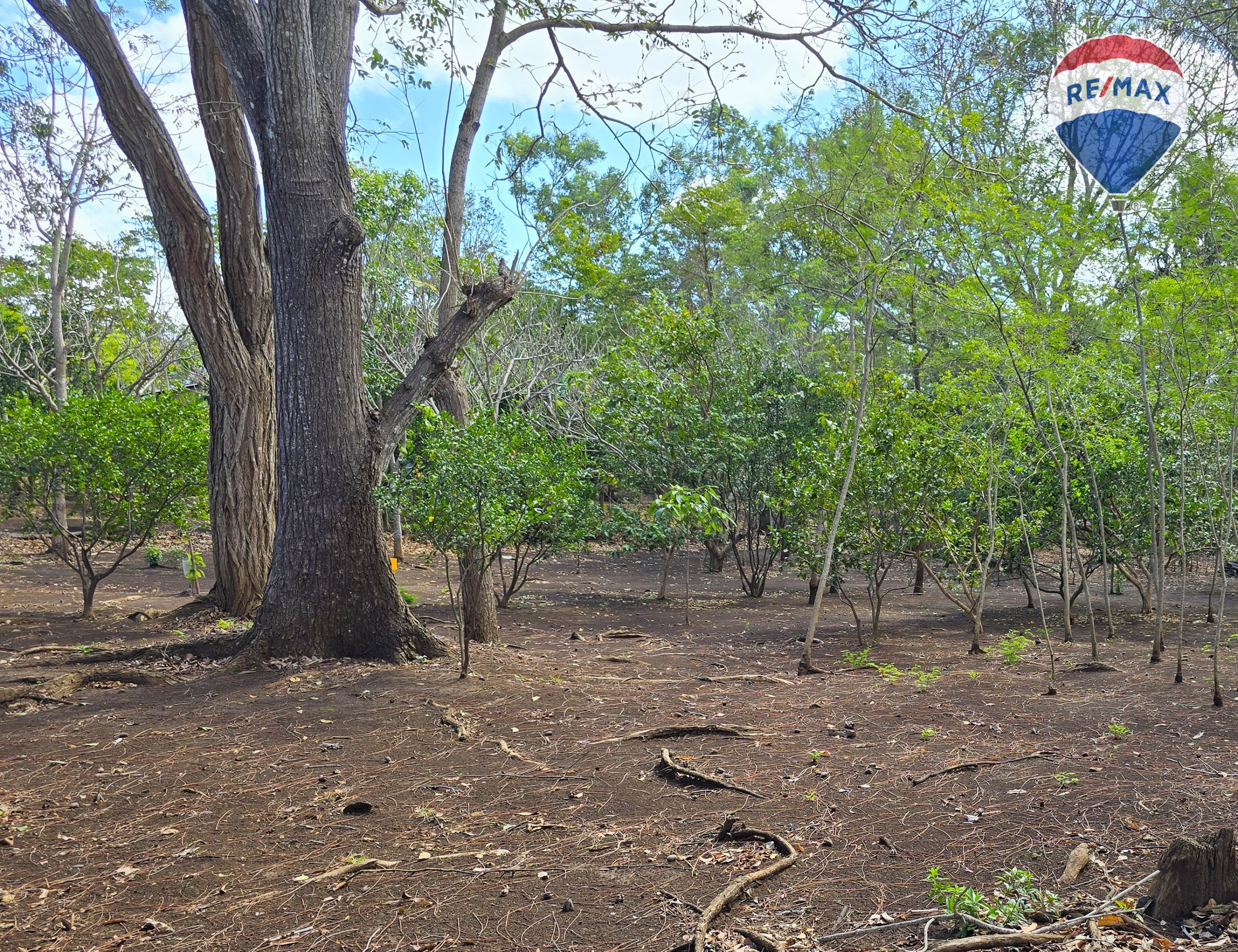 Hermosa Finca de 8 Manzanas cerca del Volcán Mombacho - Image 21