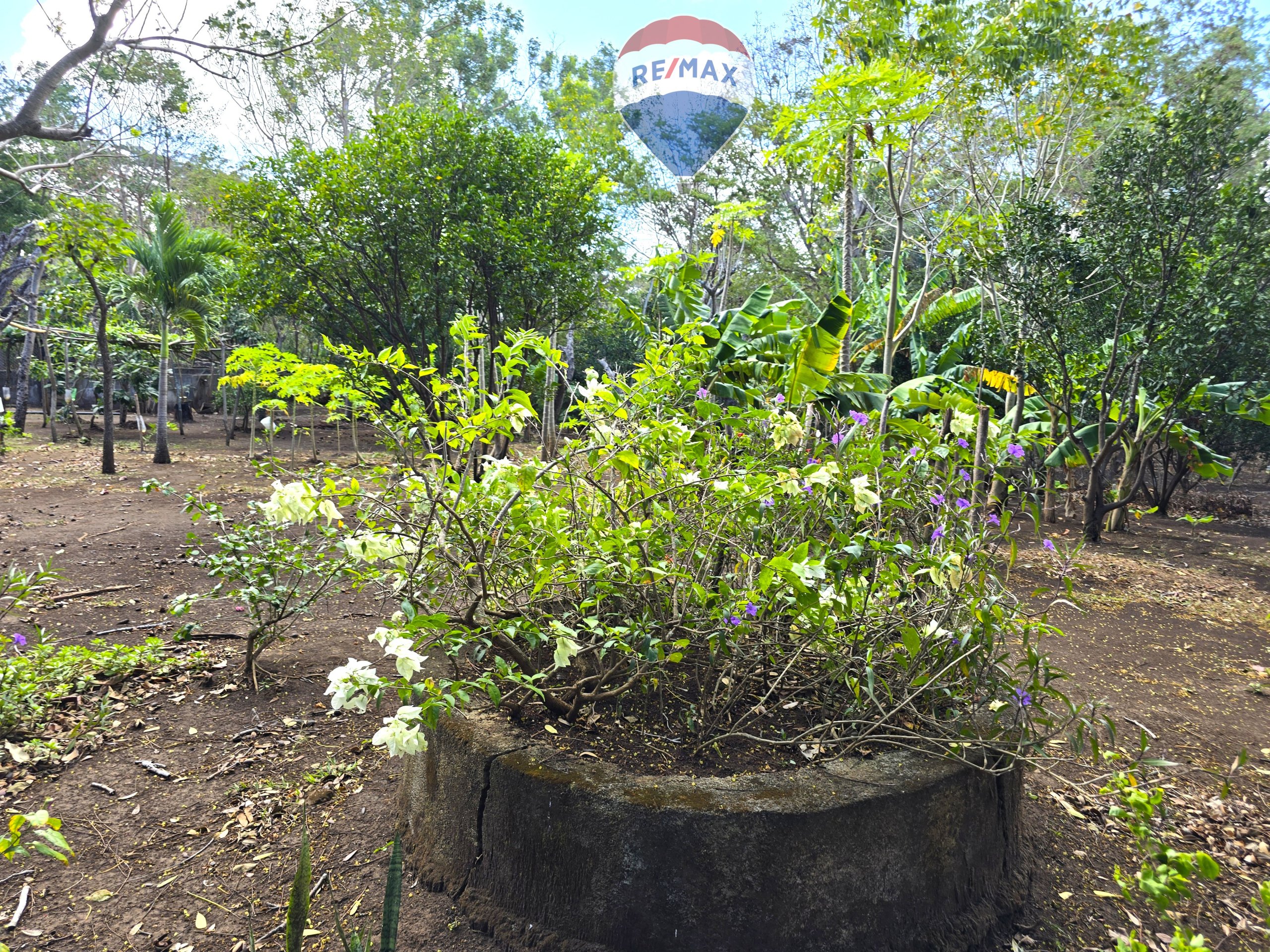 Hermosa Finca de 8 Manzanas cerca del Volcán Mombacho - Image 26