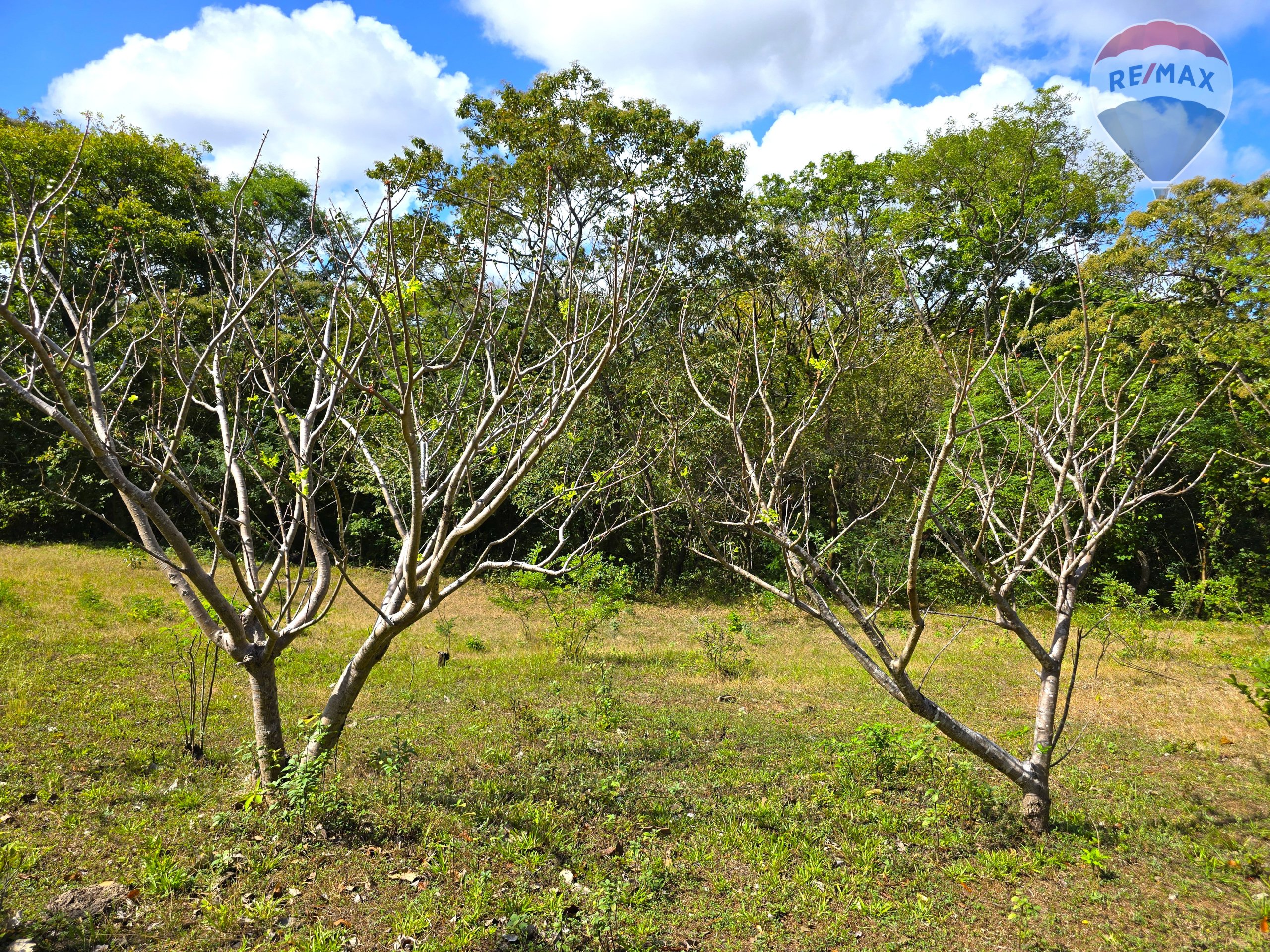Hermosa Finca de 8 Manzanas cerca del Volcán Mombacho - Image 27