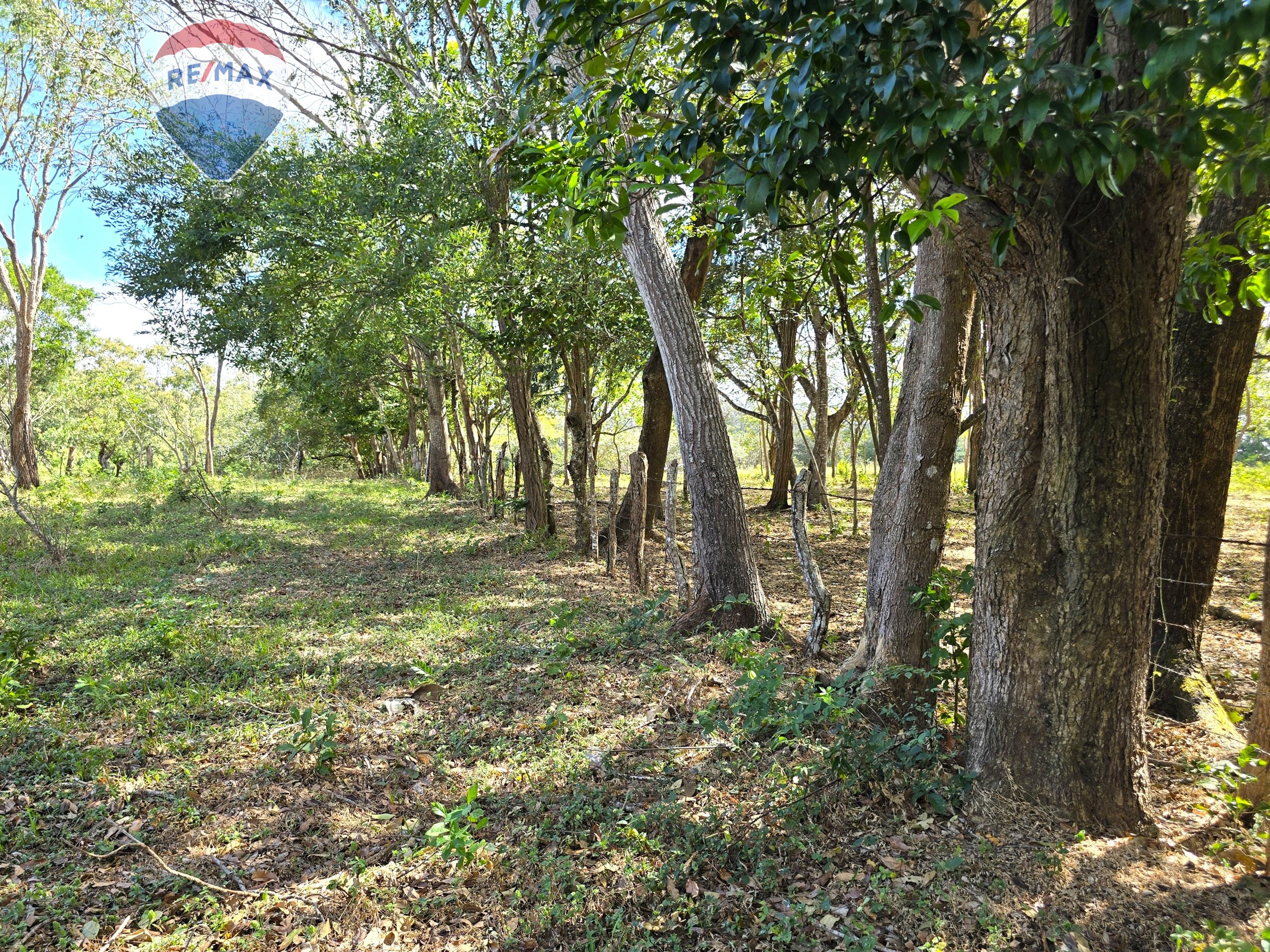 Hermosa Finca de 8 Manzanas cerca del Volcán Mombacho - Image 31