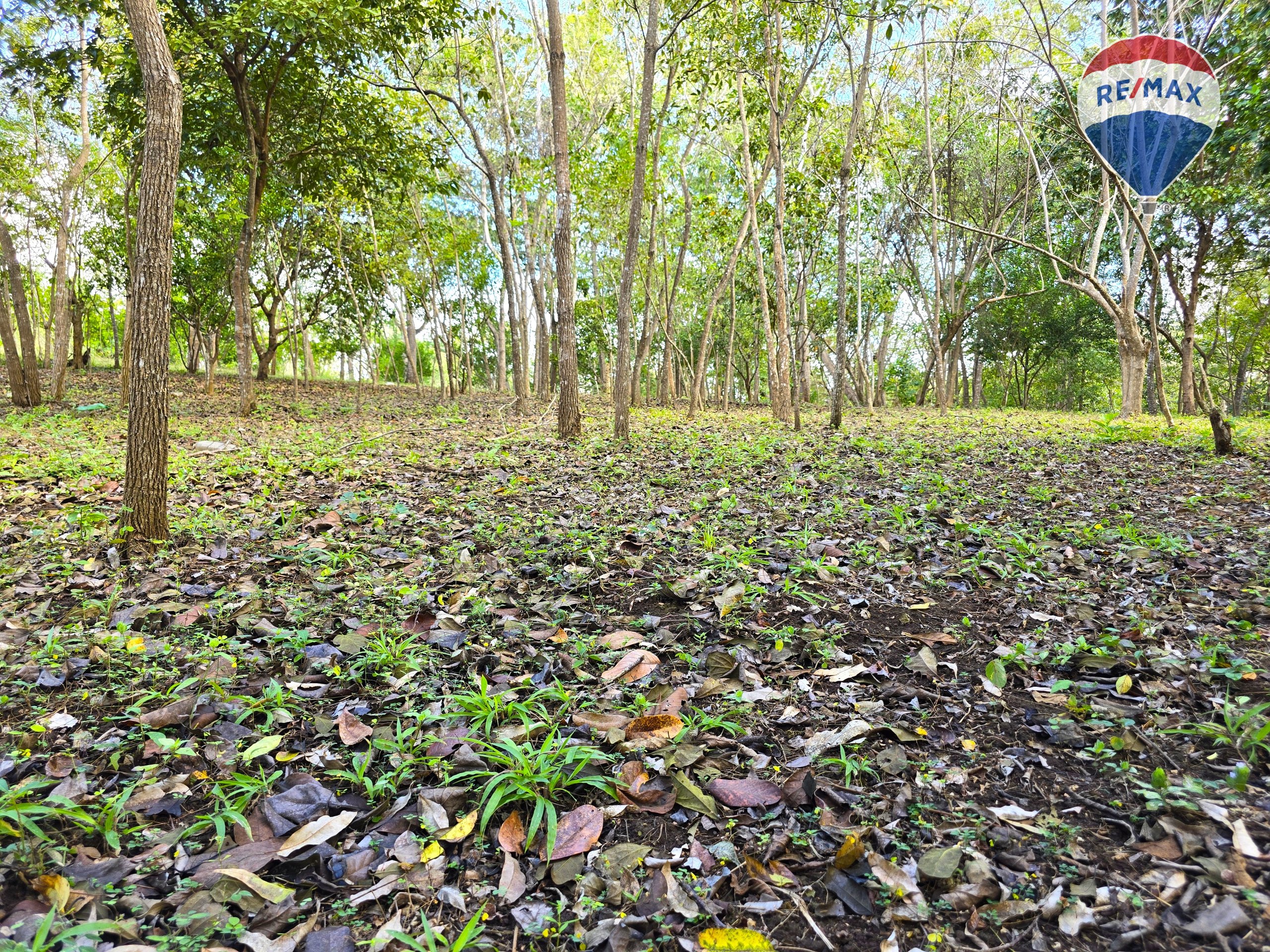 Hermosa Finca de 8 Manzanas cerca del Volcán Mombacho - Image 32