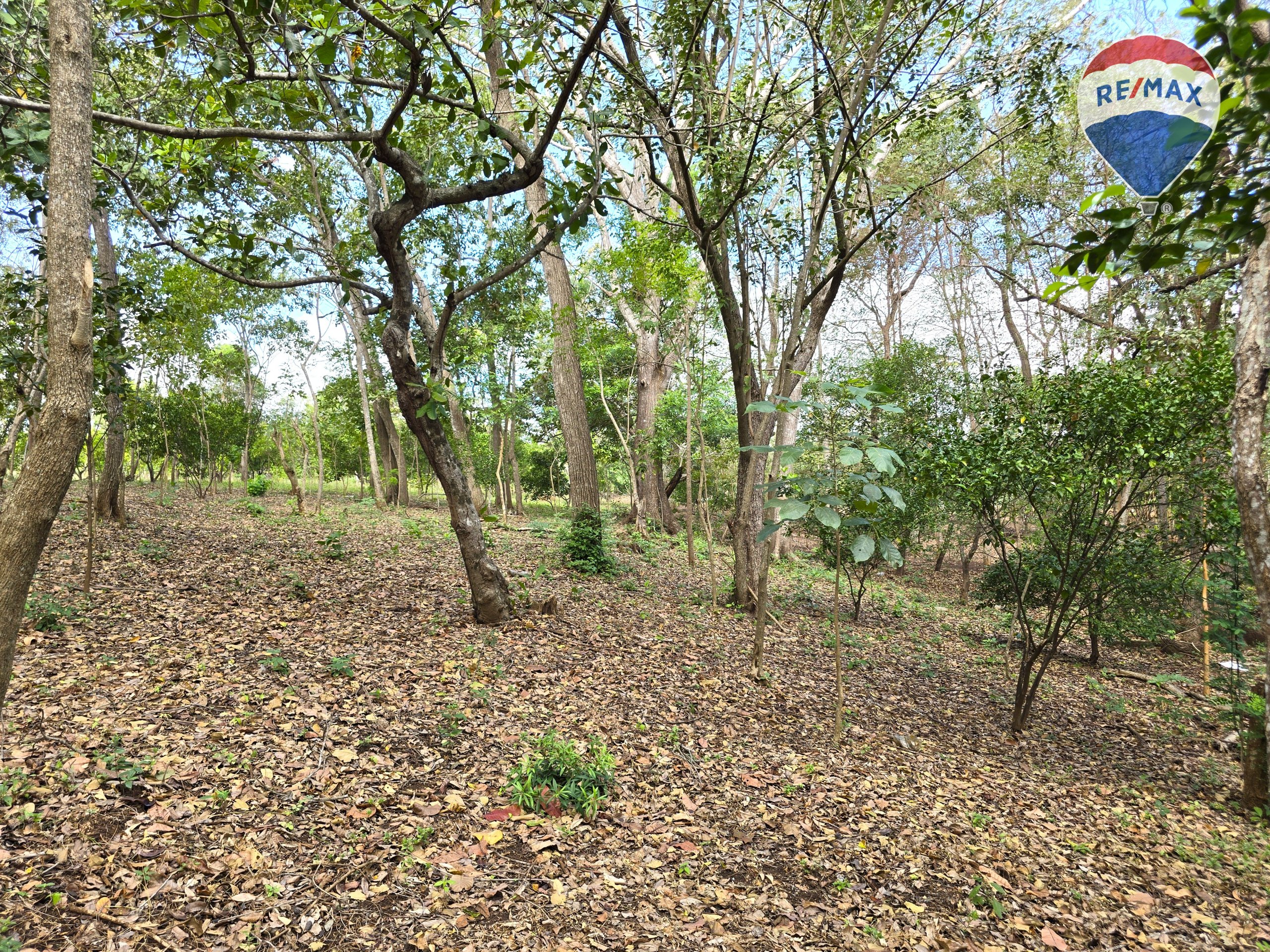 Hermosa Finca de 8 Manzanas cerca del Volcán Mombacho - Image 33