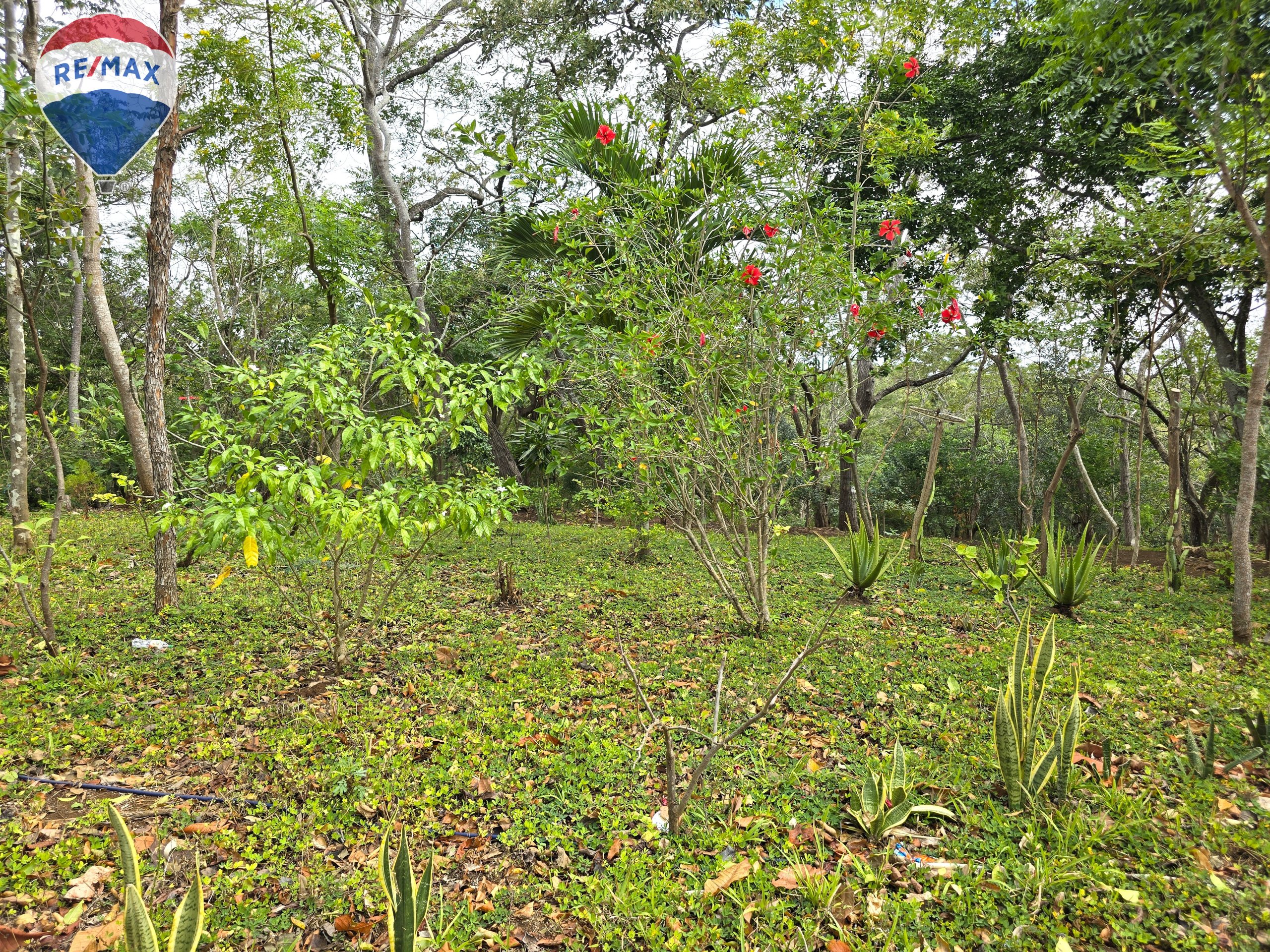 Hermosa Finca de 8 Manzanas cerca del Volcán Mombacho - Image 4