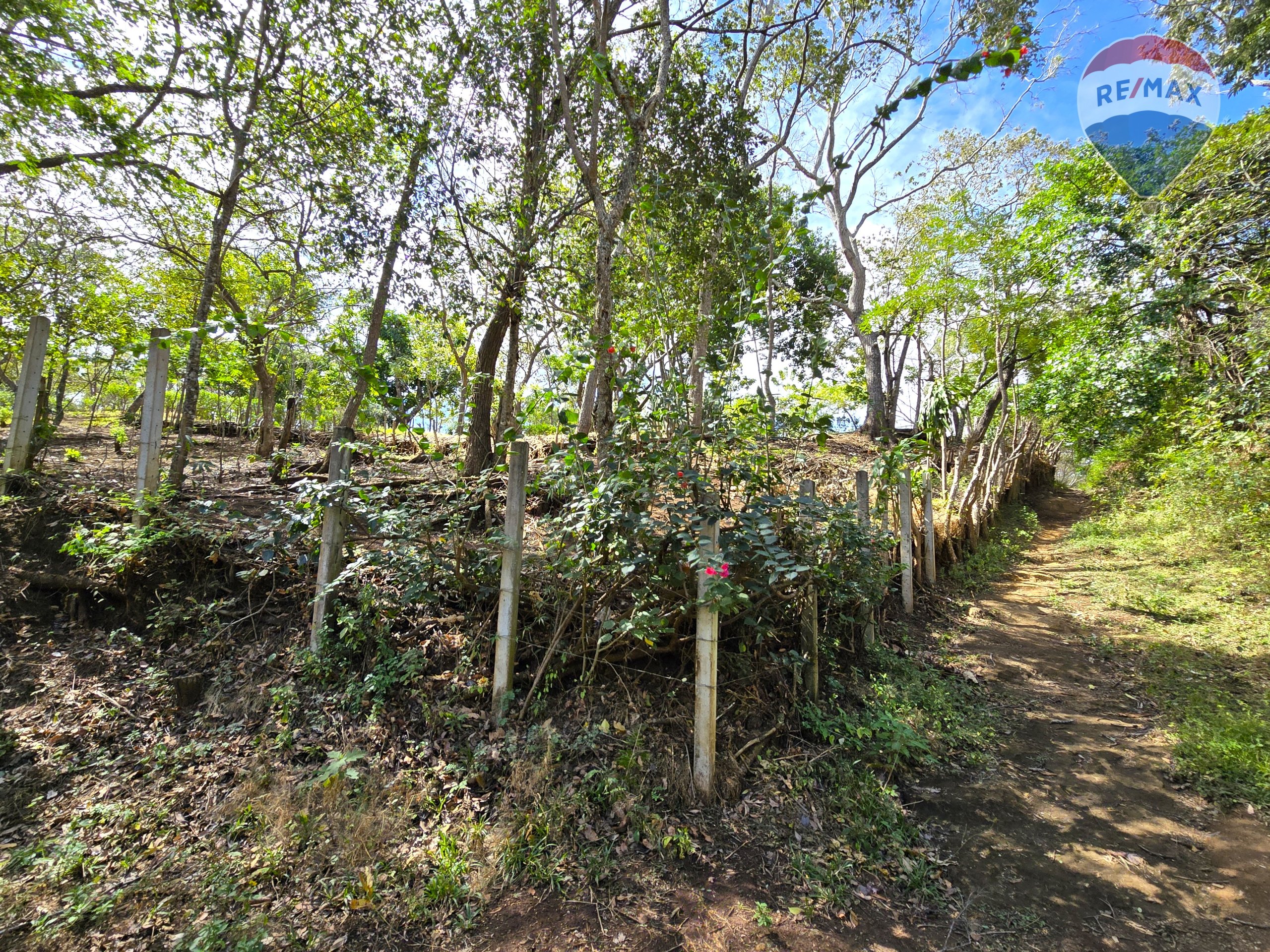 Hermosa Finca de 8 Manzanas cerca del Volcán Mombacho - Image 39