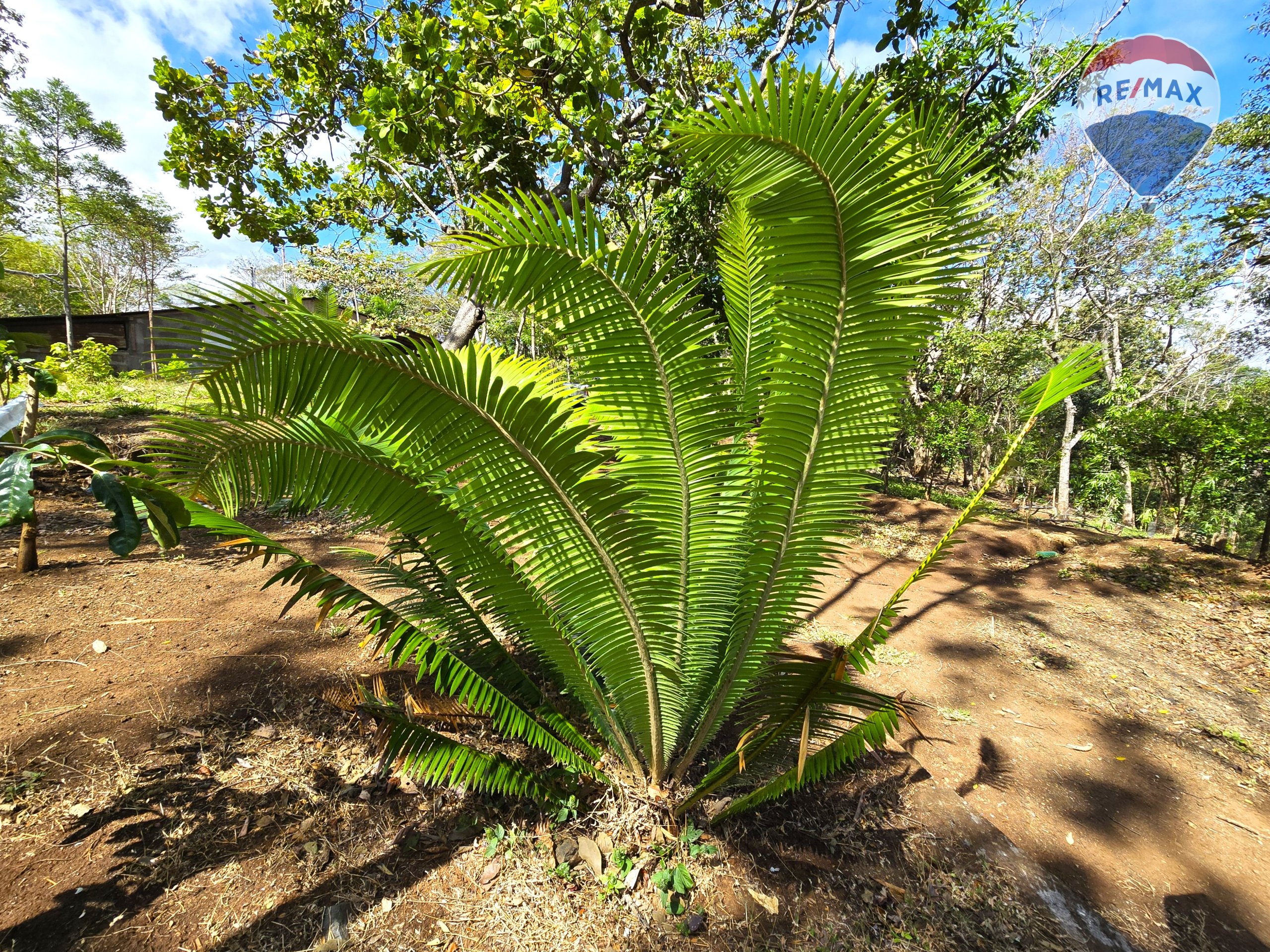 Hermosa Finca de 8 Manzanas cerca del Volcán Mombacho - Image 44
