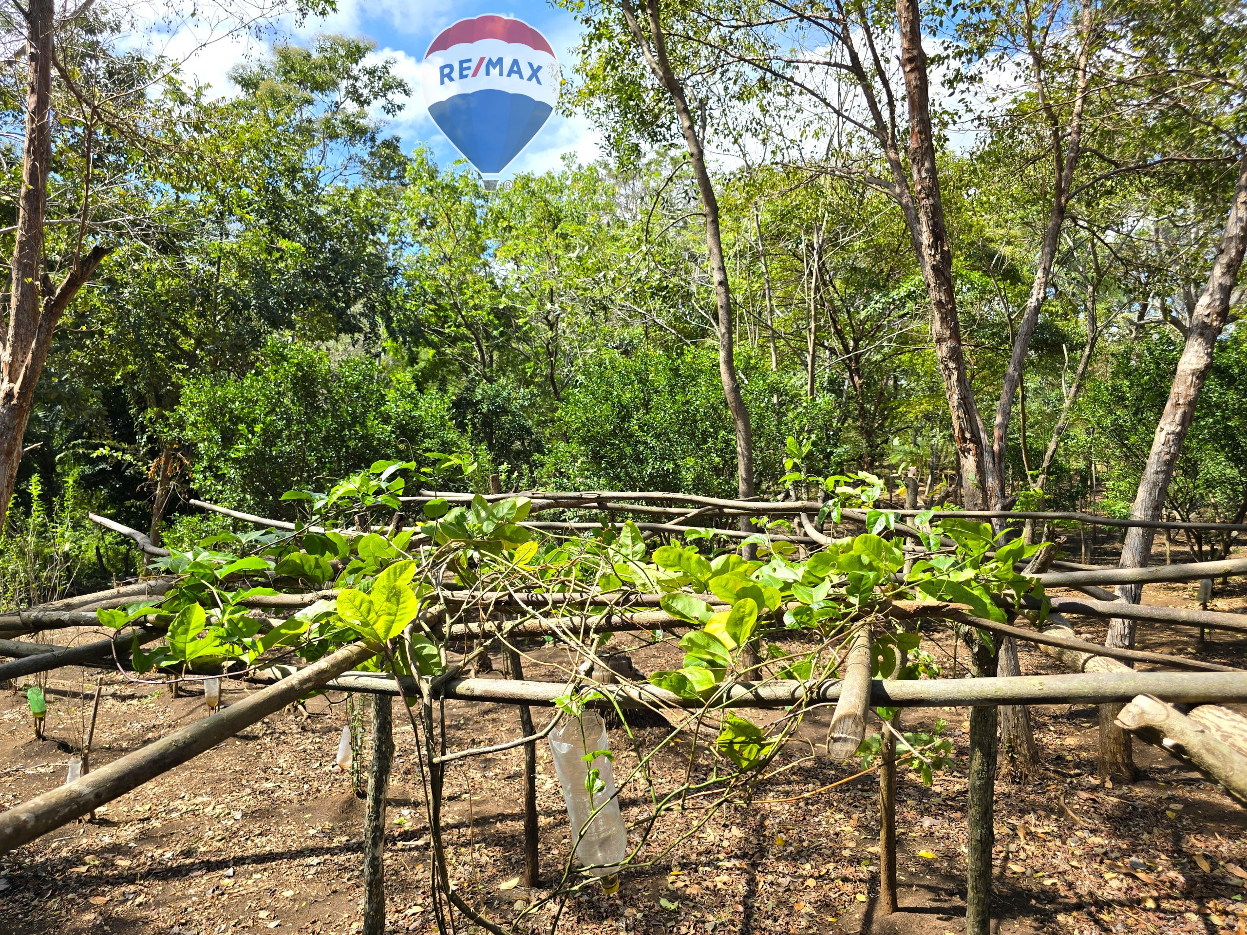 Hermosa Finca de 8 Manzanas cerca del Volcán Mombacho - Image 47
