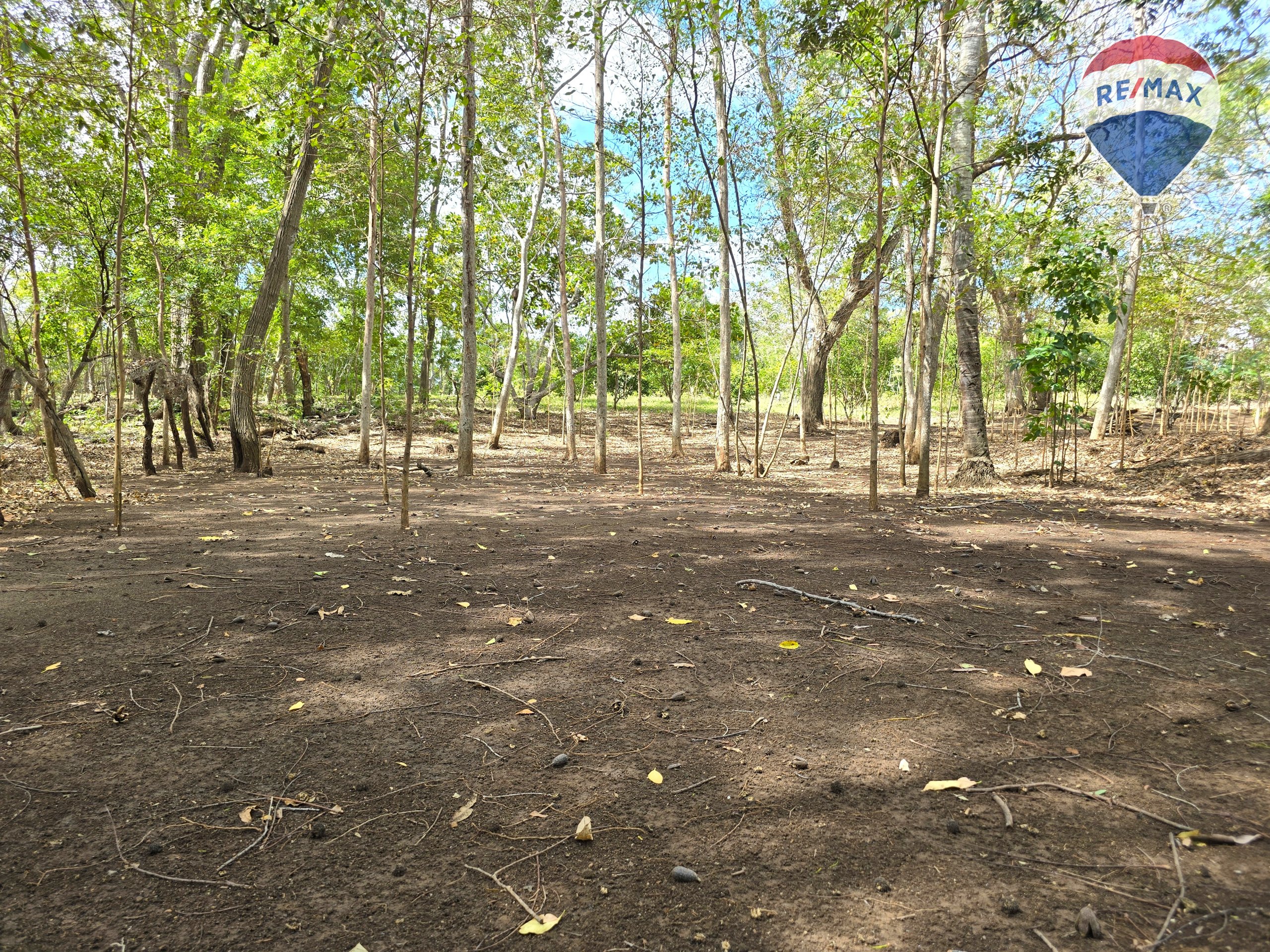Hermosa Finca de 8 Manzanas cerca del Volcán Mombacho - Image 50