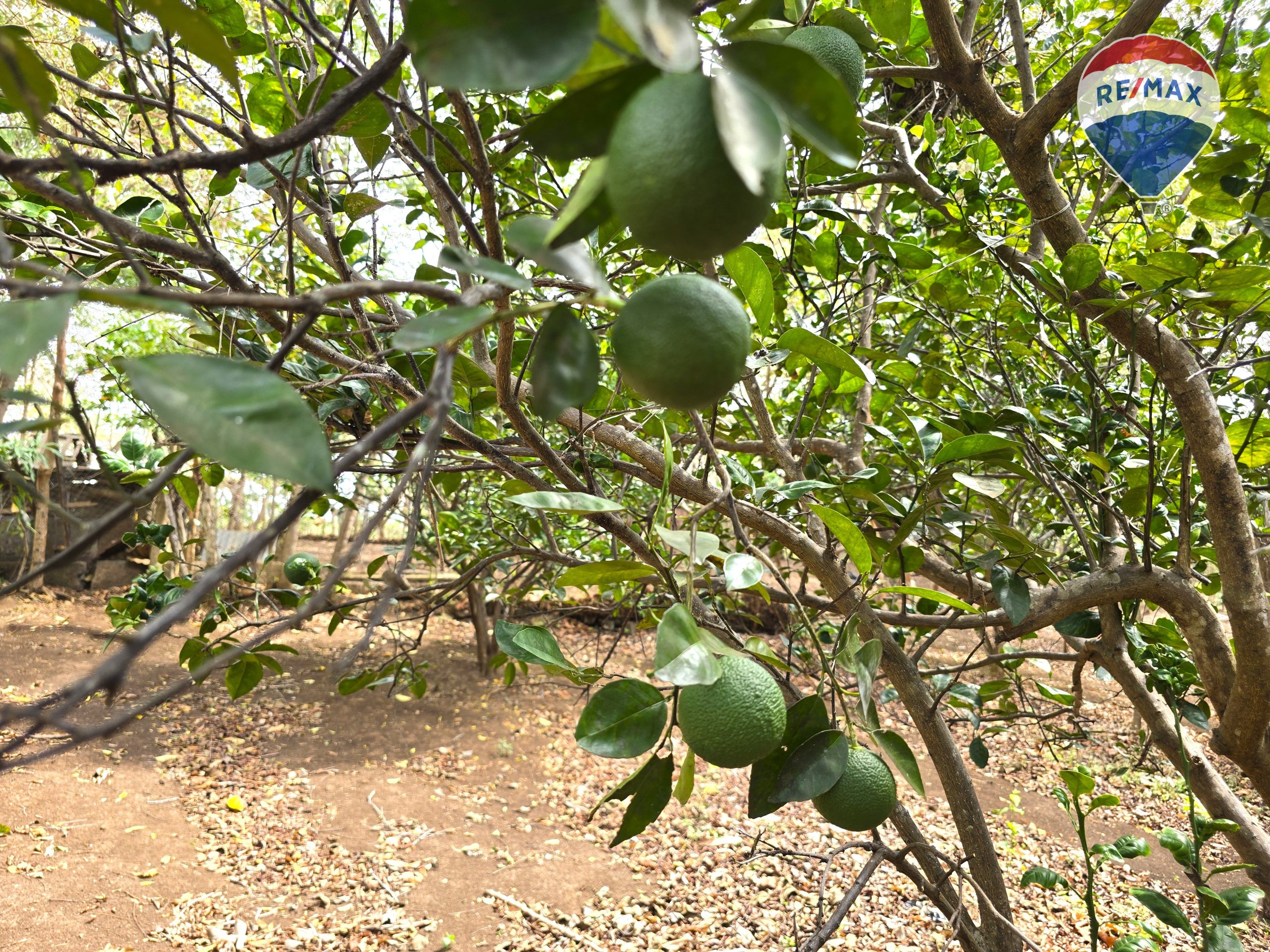 Hermosa Finca de 8 Manzanas cerca del Volcán Mombacho - Image 53