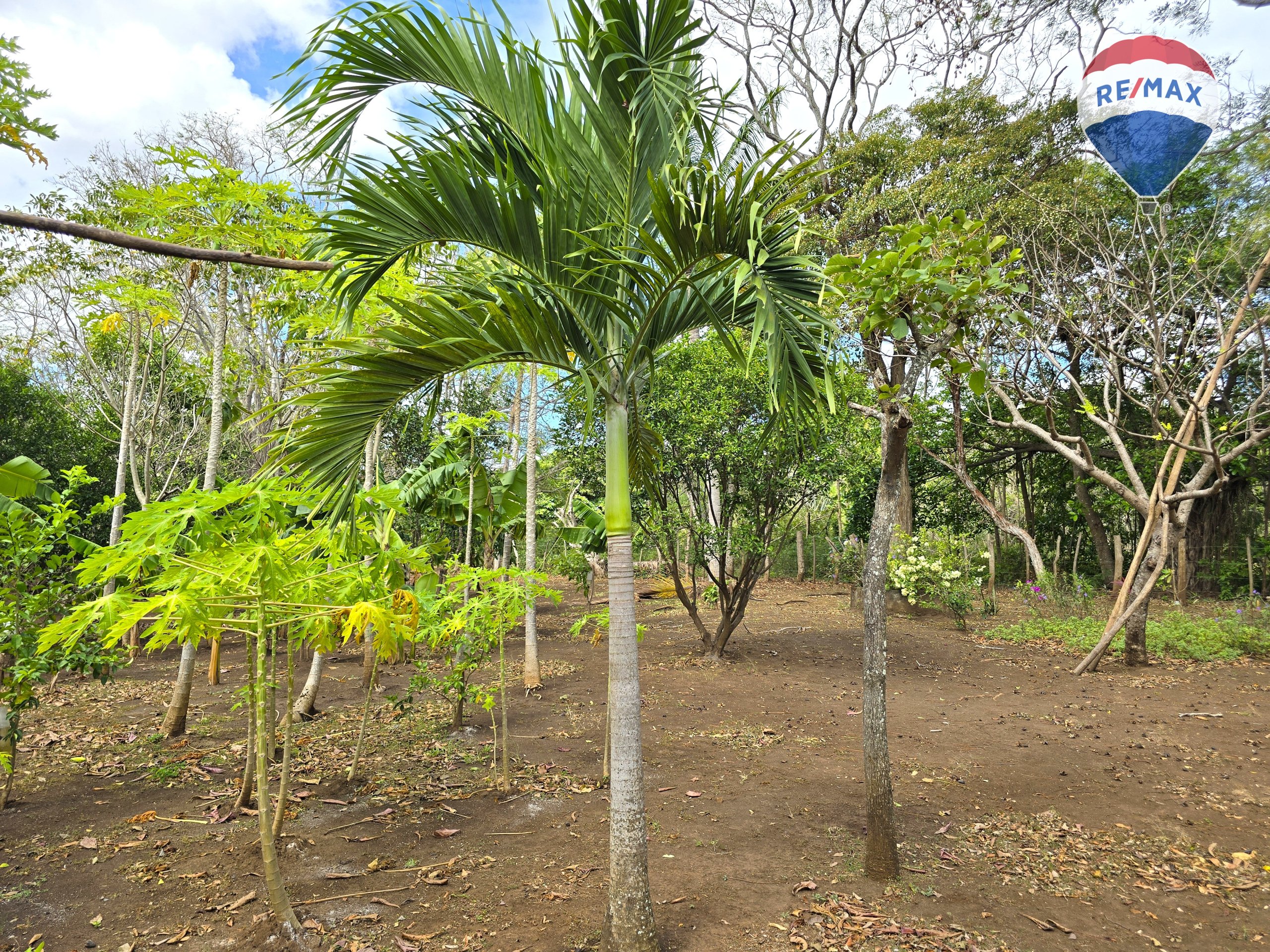 Hermosa Finca de 8 Manzanas cerca del Volcán Mombacho - Image 55