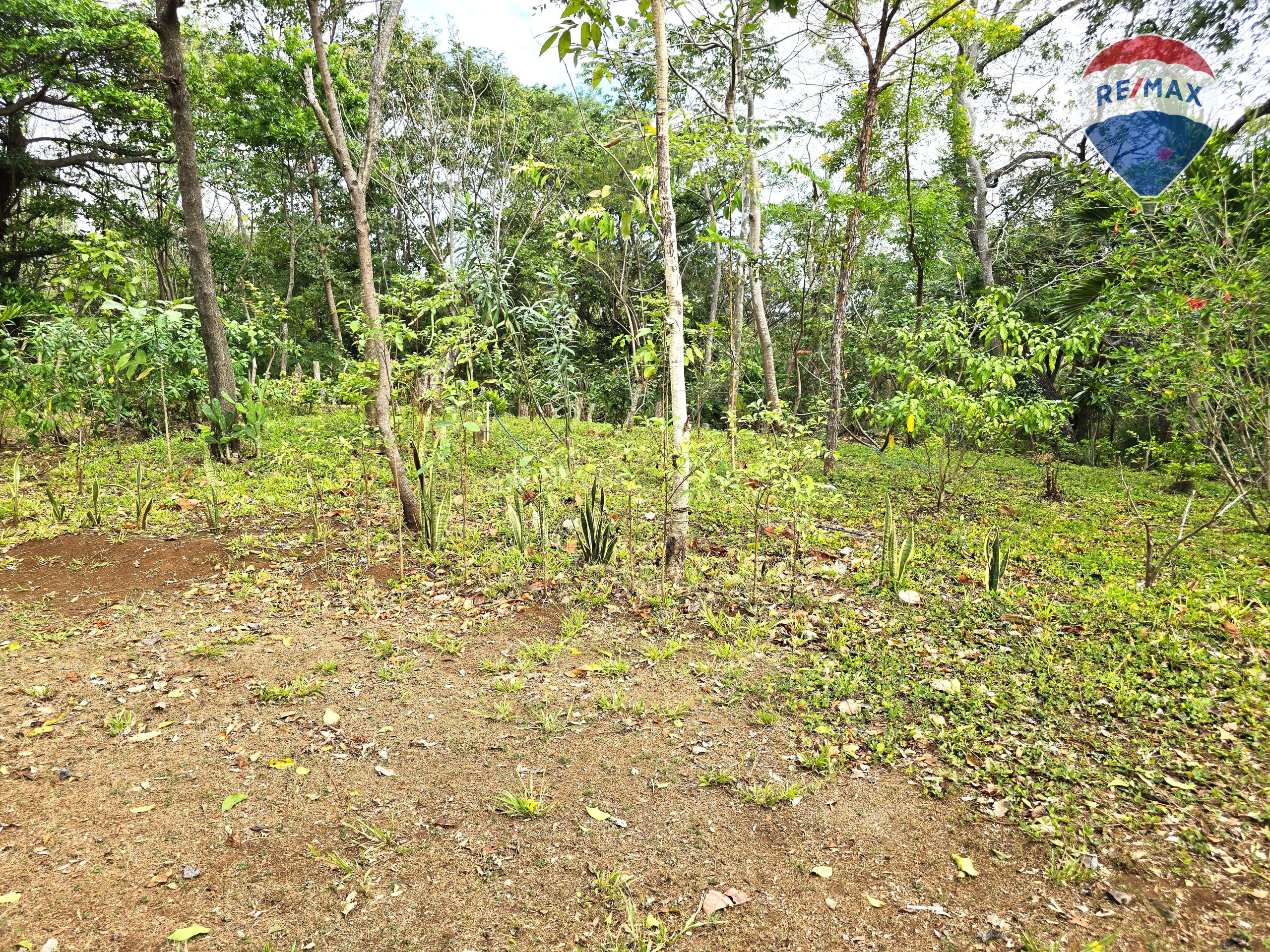 Hermosa Finca de 8 Manzanas cerca del Volcán Mombacho - Image 8