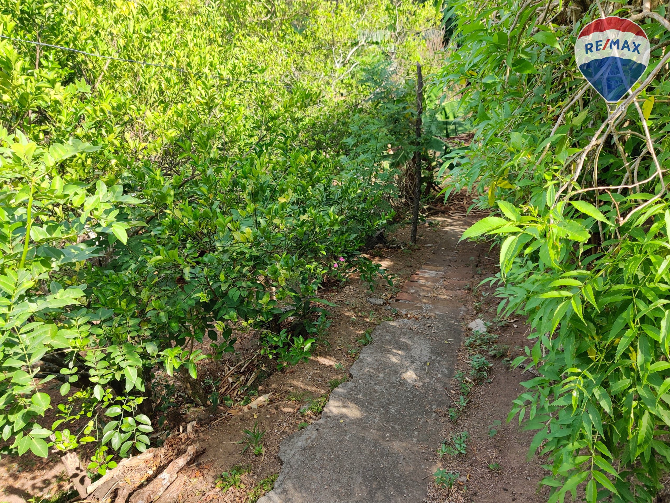Lagoon View Home - Image 11