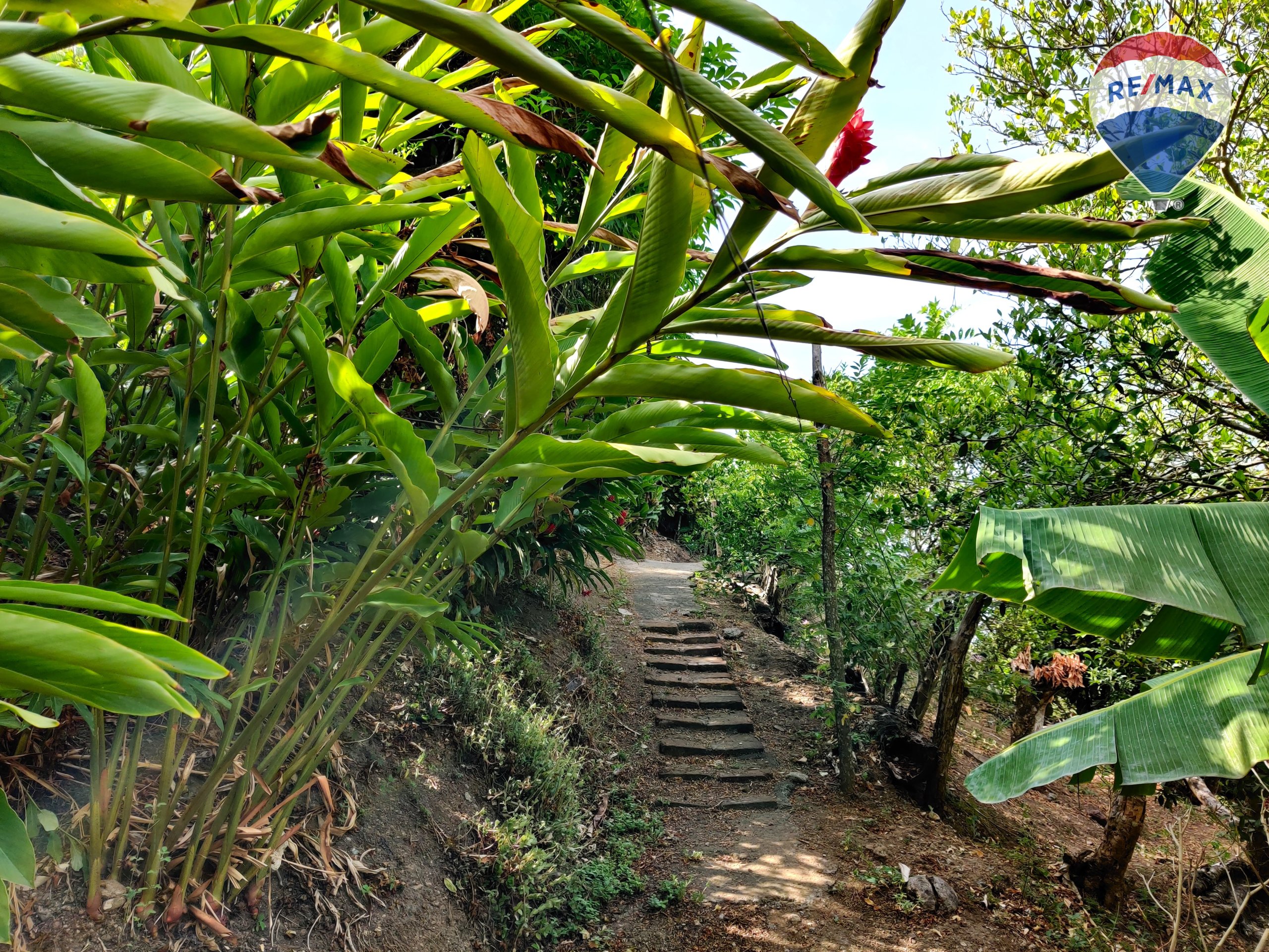 Lagoon View Home - Image 9