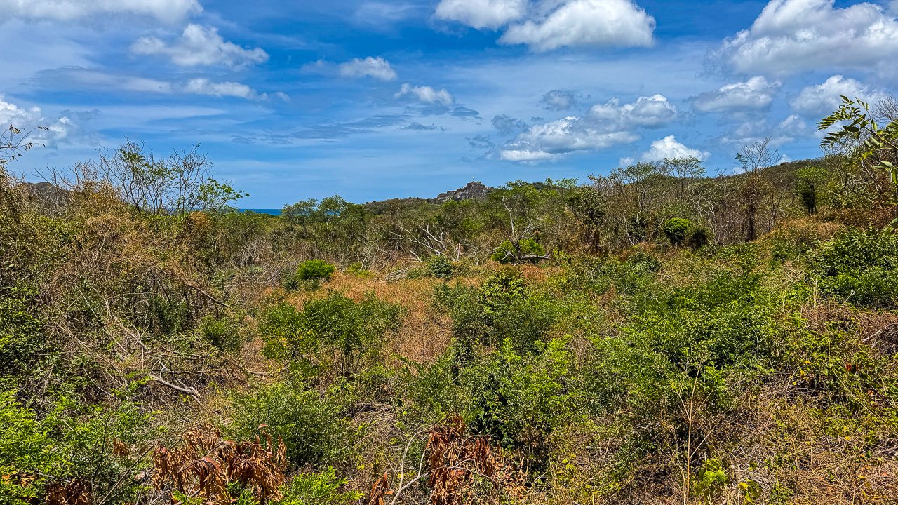 1.88 Acres of Oceanview Land in Lomas de Palermo - Image 4