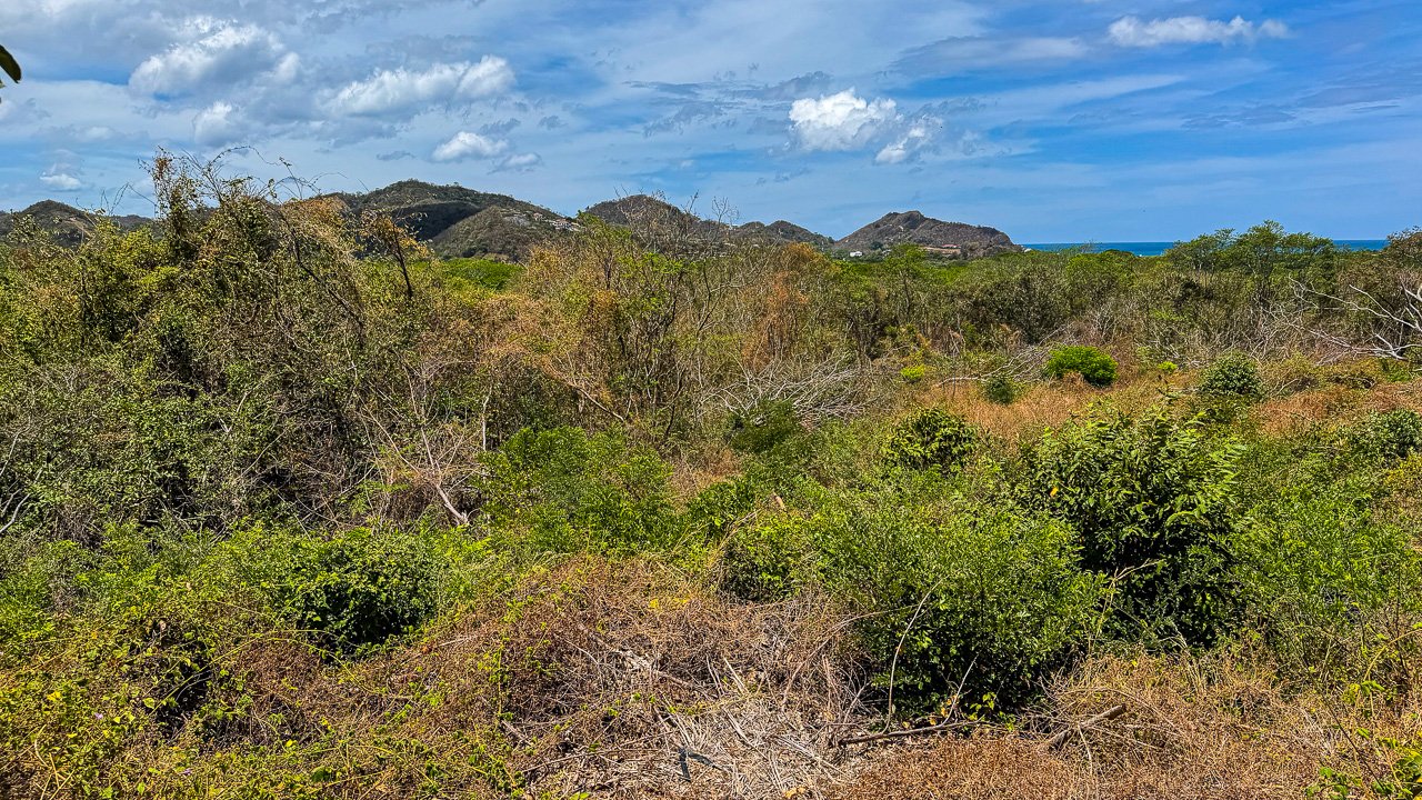 1.88 Acres of Oceanview Land in Lomas de Palermo - Image 5