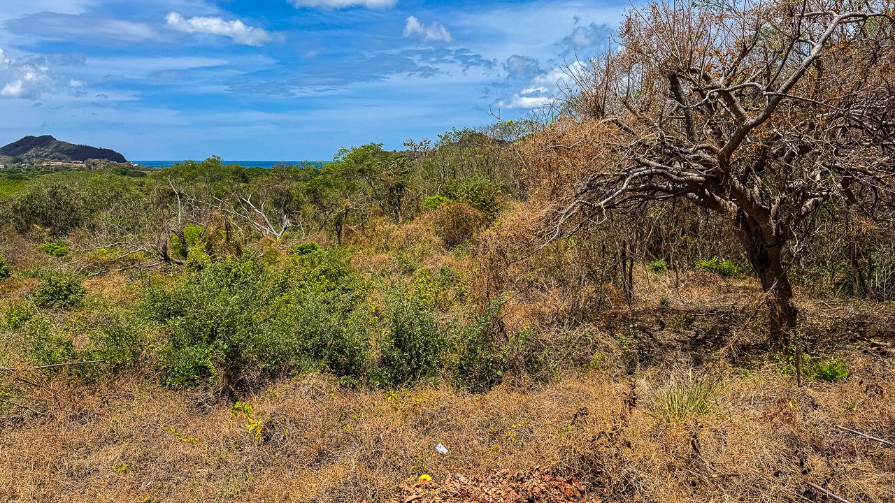1.88 Acres of Oceanview Land in Lomas de Palermo - Image 7