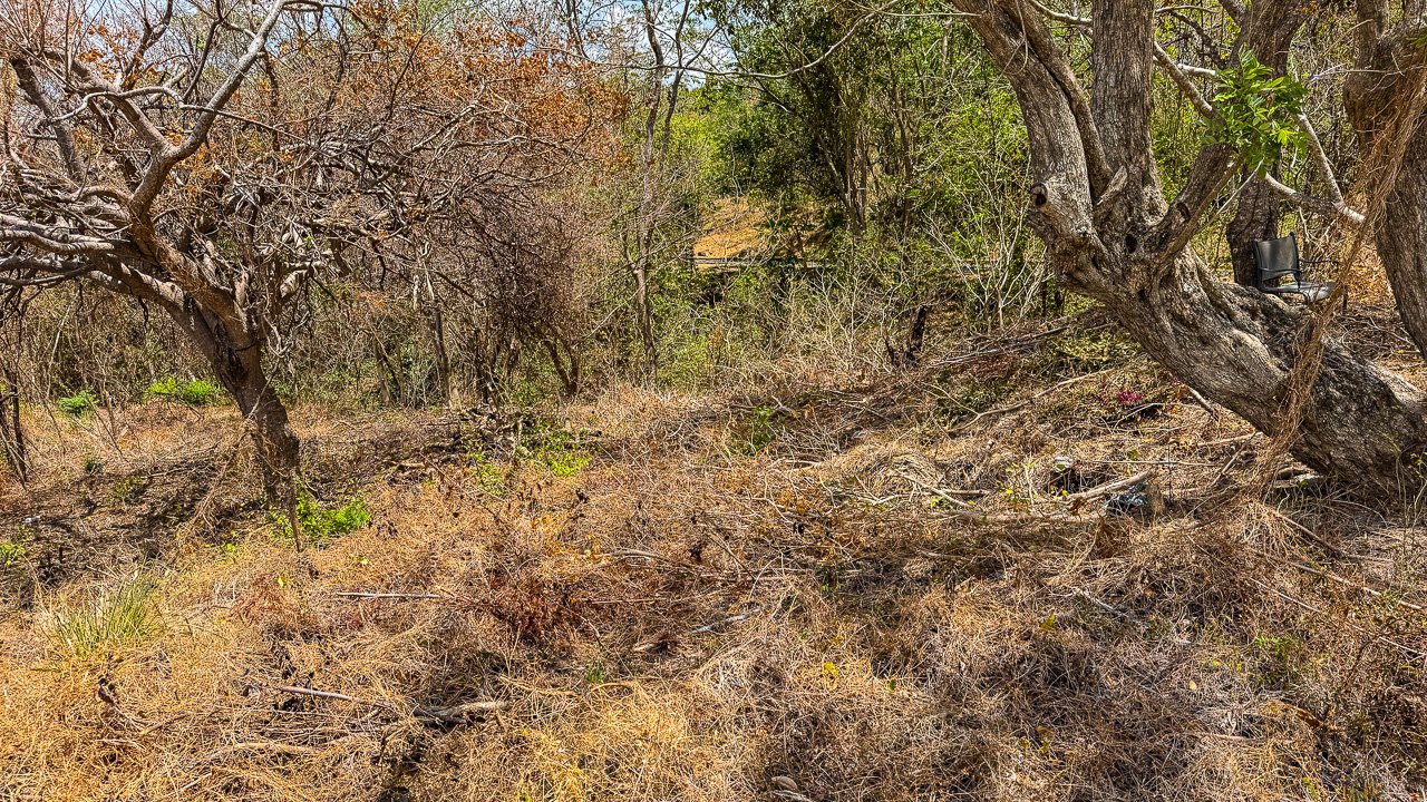 1.88 Acres of Oceanview Land in Lomas de Palermo - Image 8