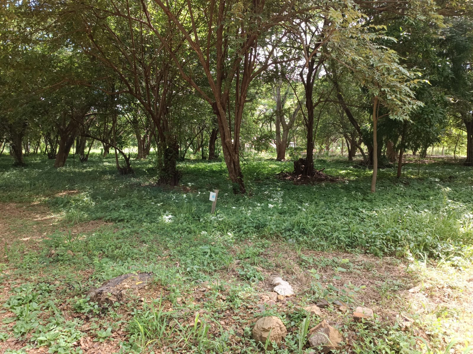 SOLD - Resale Lot B15 in Bosques Del Mar - Image 2