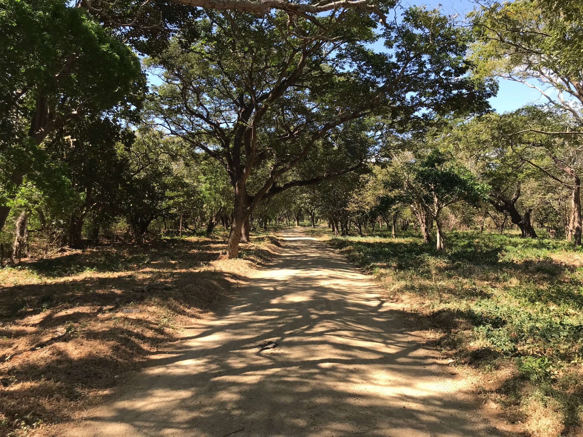 SOLD - Resale Lot B15 in Bosques Del Mar - Image 3
