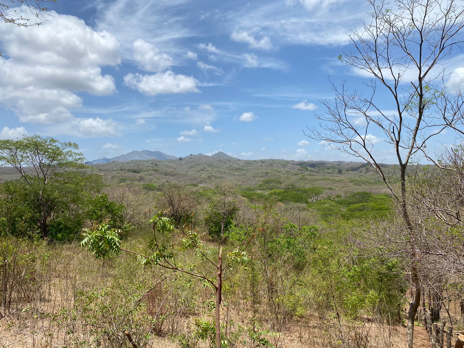 Nearly an Acre near Maderas Beach - Image 14