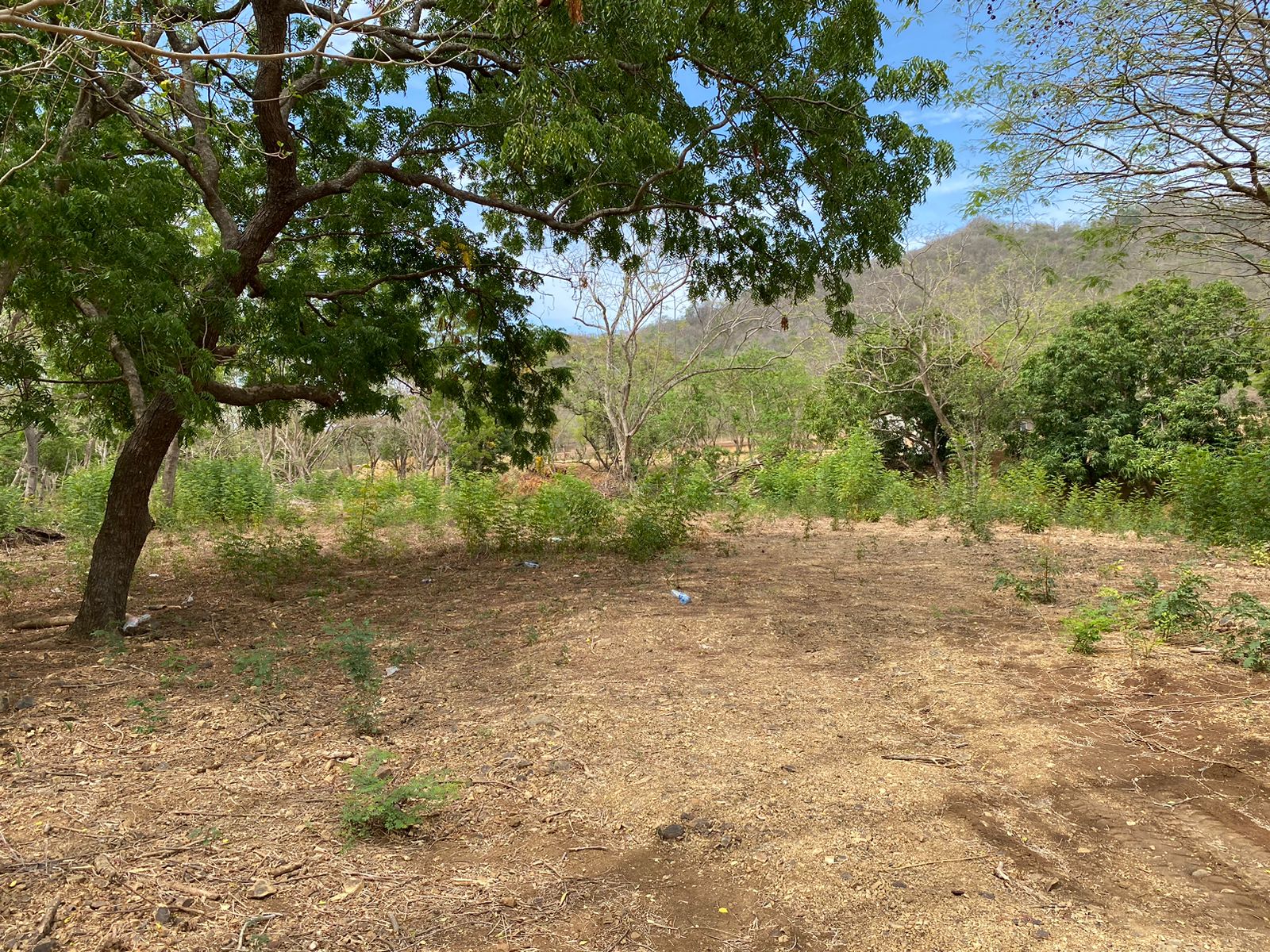 Exceptional and Spacious 2 Acre Lot near Playa Remanso - Image 4